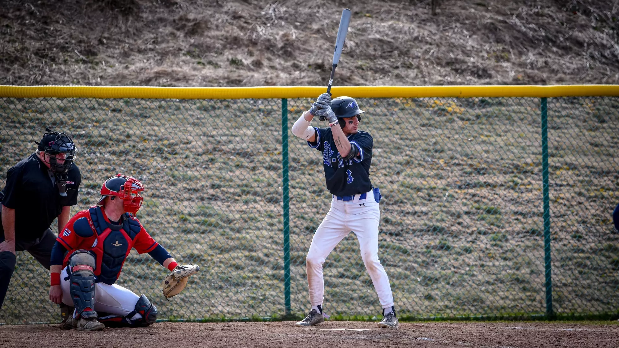 Colby Baseball Cam Carignan - 2024 - Baseball - Colby-Sawyer College Athletics