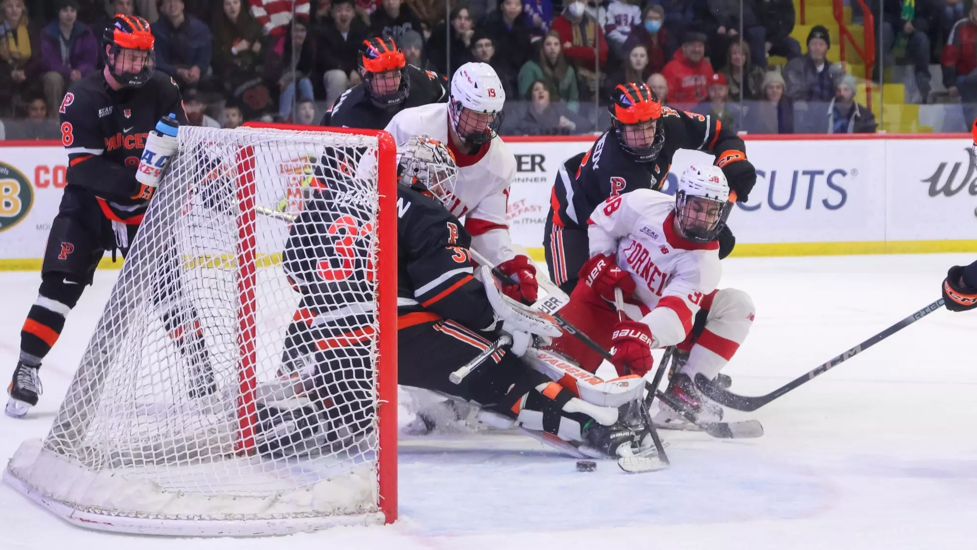 Jan Castagna Castagna Propels #14 Men's Hockey To Win Over Princeton - Cornell ...
