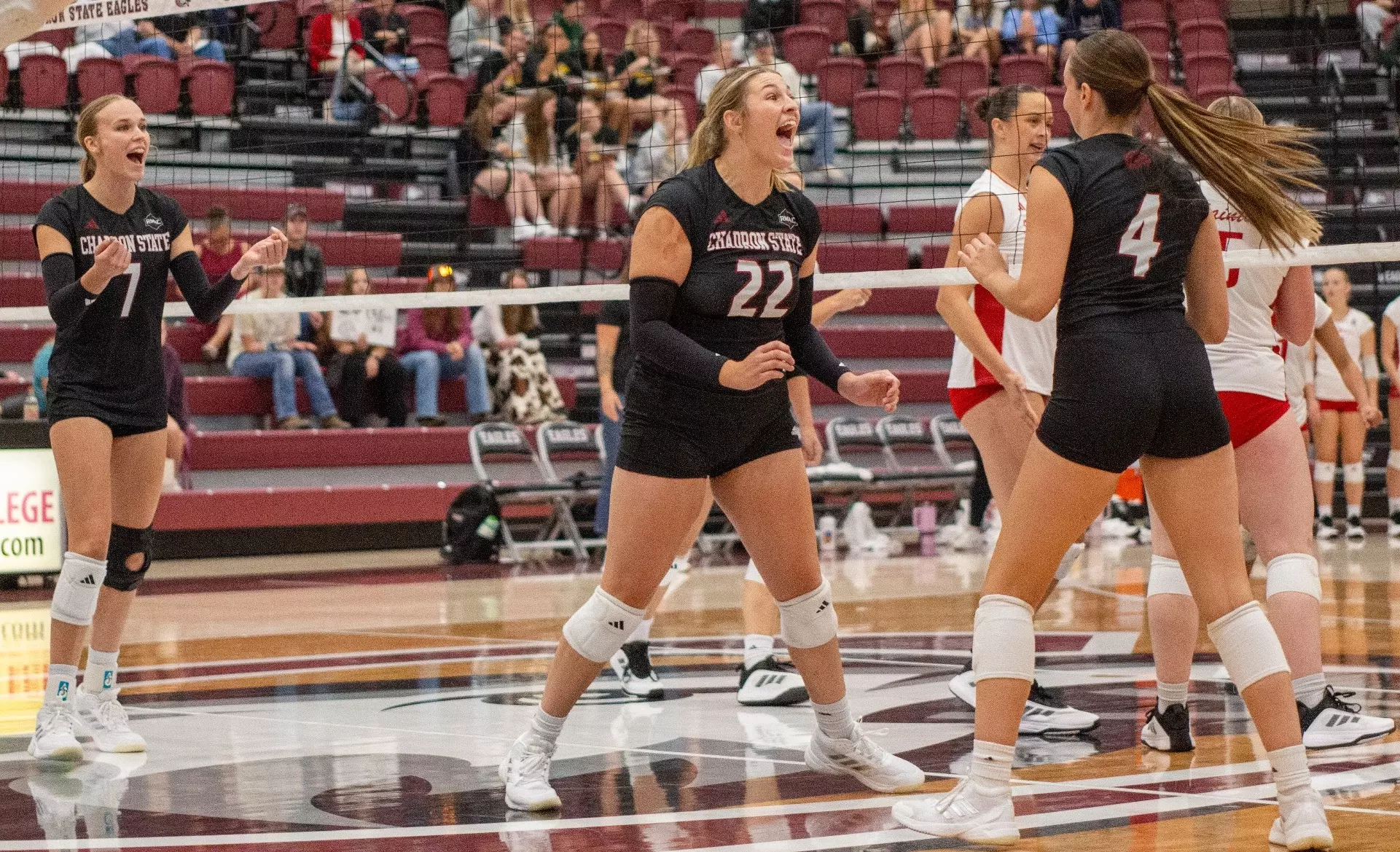 CSC Caps Eagle Classic With Sweep - Chadron State College Athletics