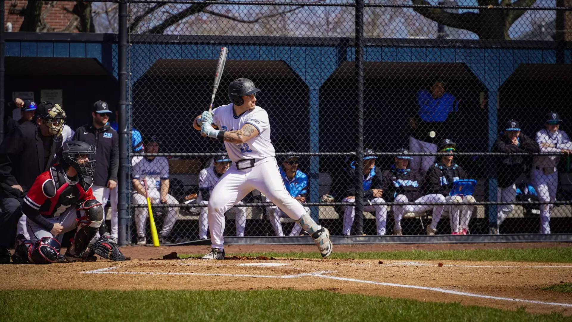 Michael Furst Jason Romance - Baseball - College of Staten Island Athletics