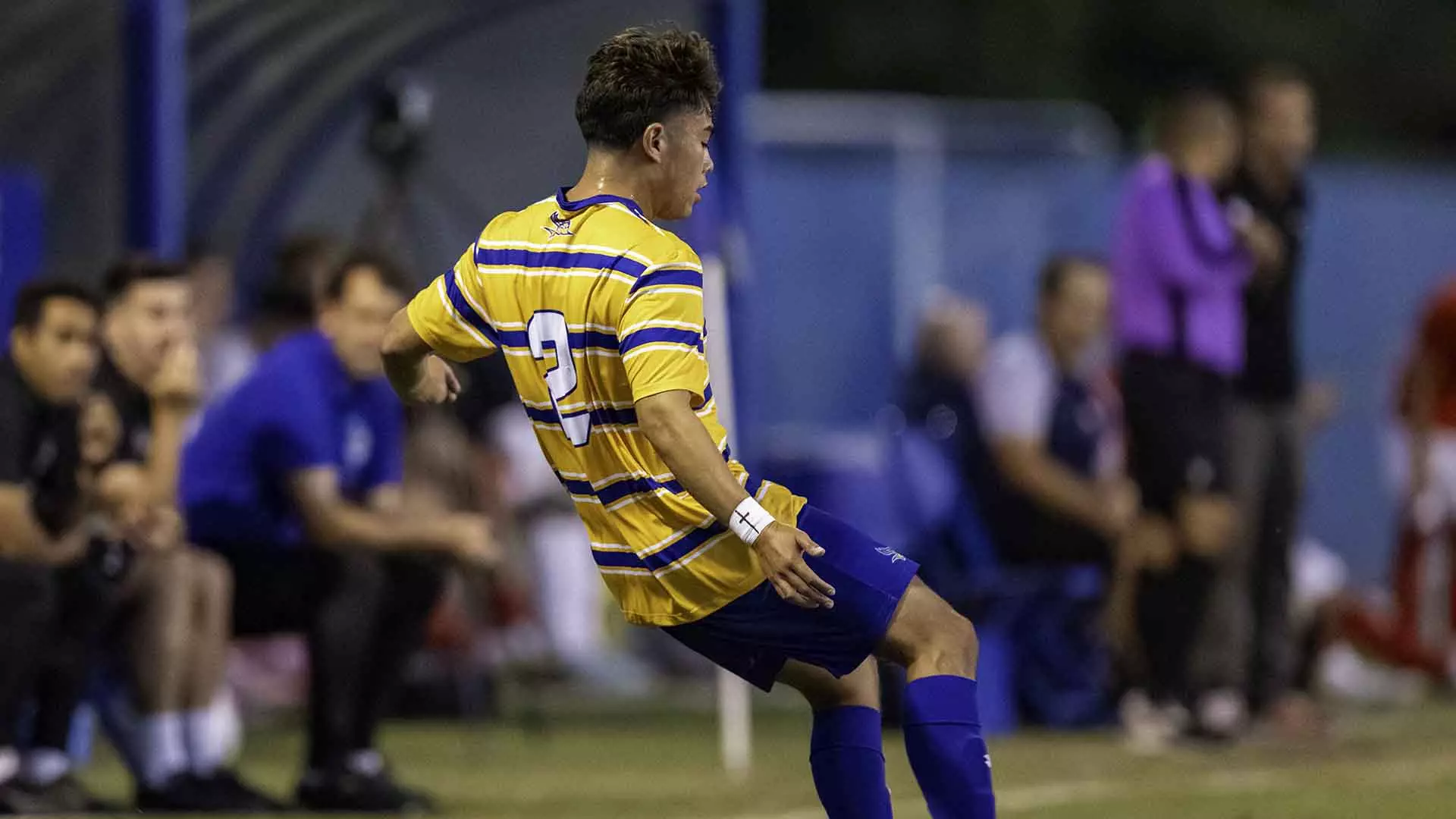 Paco Roca Soccer Bogart Roca - Men's Soccer - California State University at Bakersfield ...