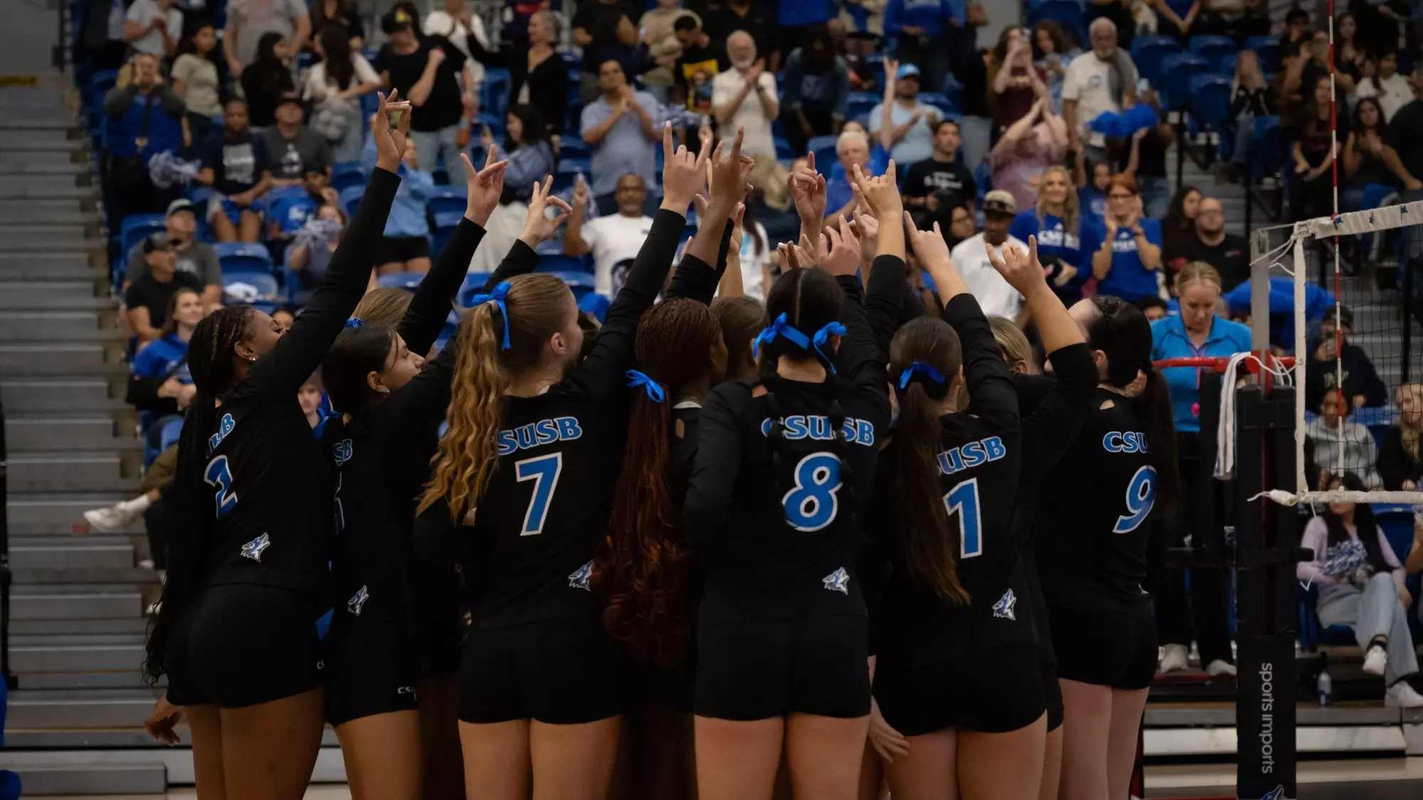 Addie Hamilton Addie Hamilton - Volleyball - California State University of San ...