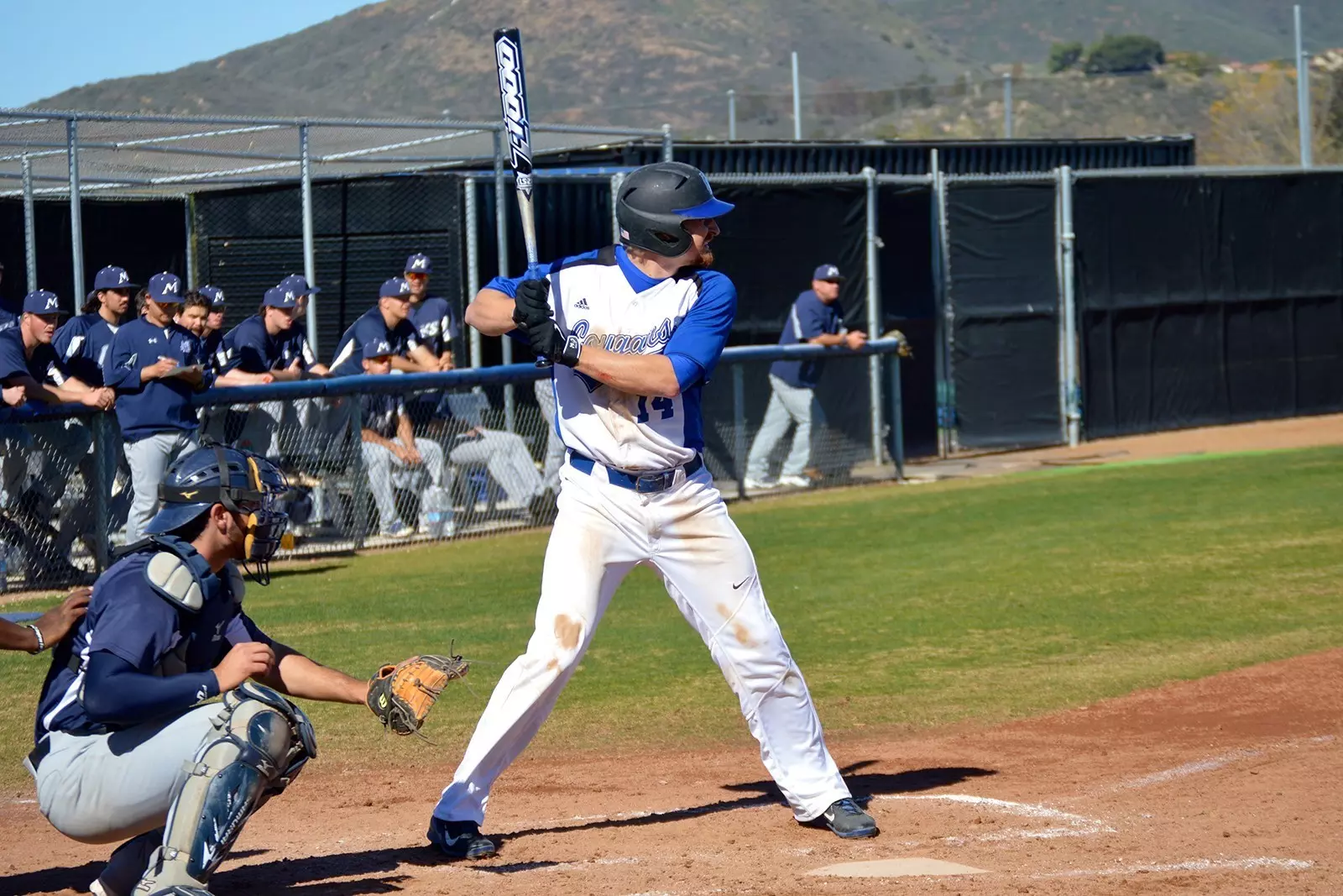 Dillon Ristano Baseball Dylan Costello - 2015 - Baseball - Cal State San Marcos Athletics
