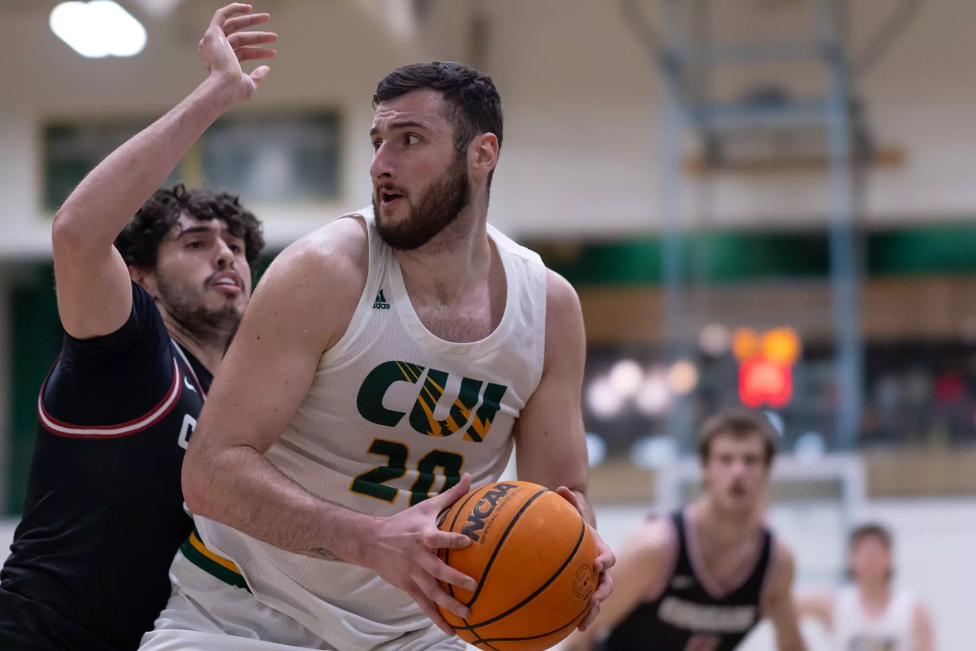 Connor Harding Joseph Locandro - Men's Basketball - Concordia University Irvine Athletics