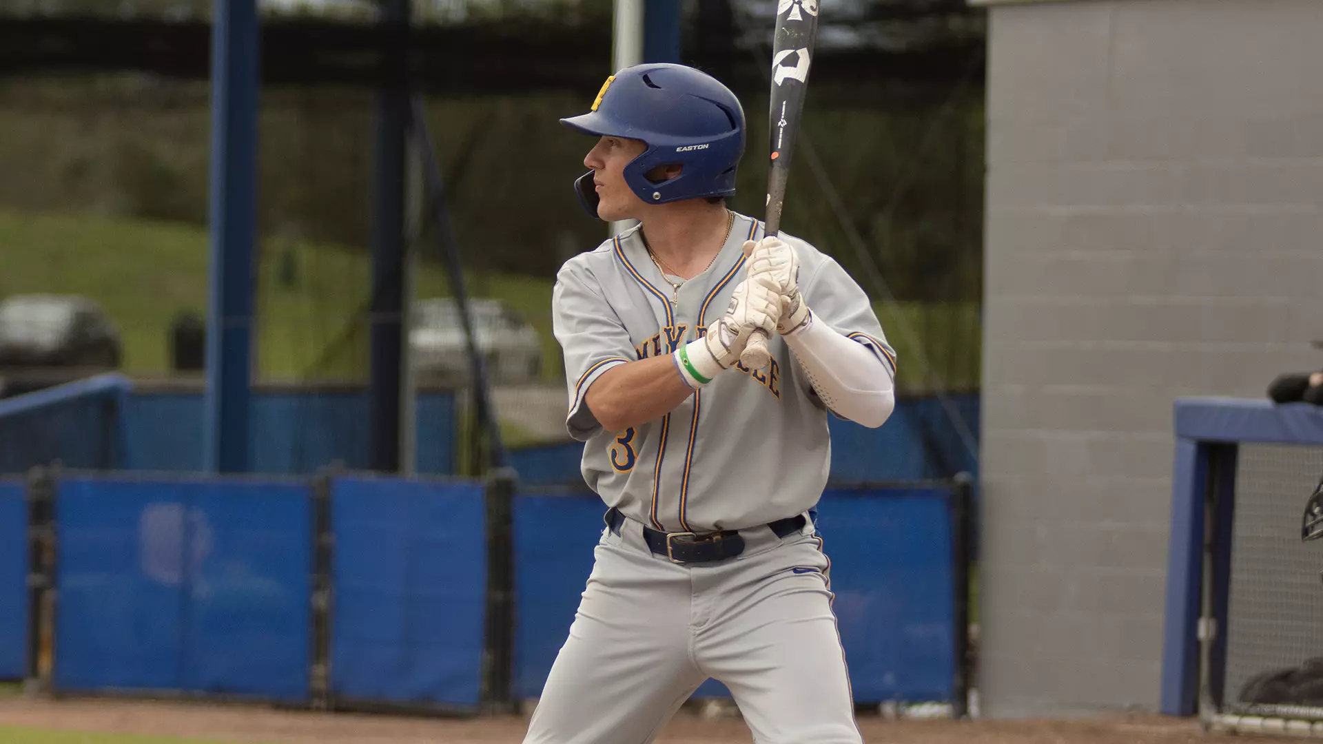 Dylan Embry Dylan Brazil - 2024 - Baseball - Embry-Riddle Aeronautical University ...