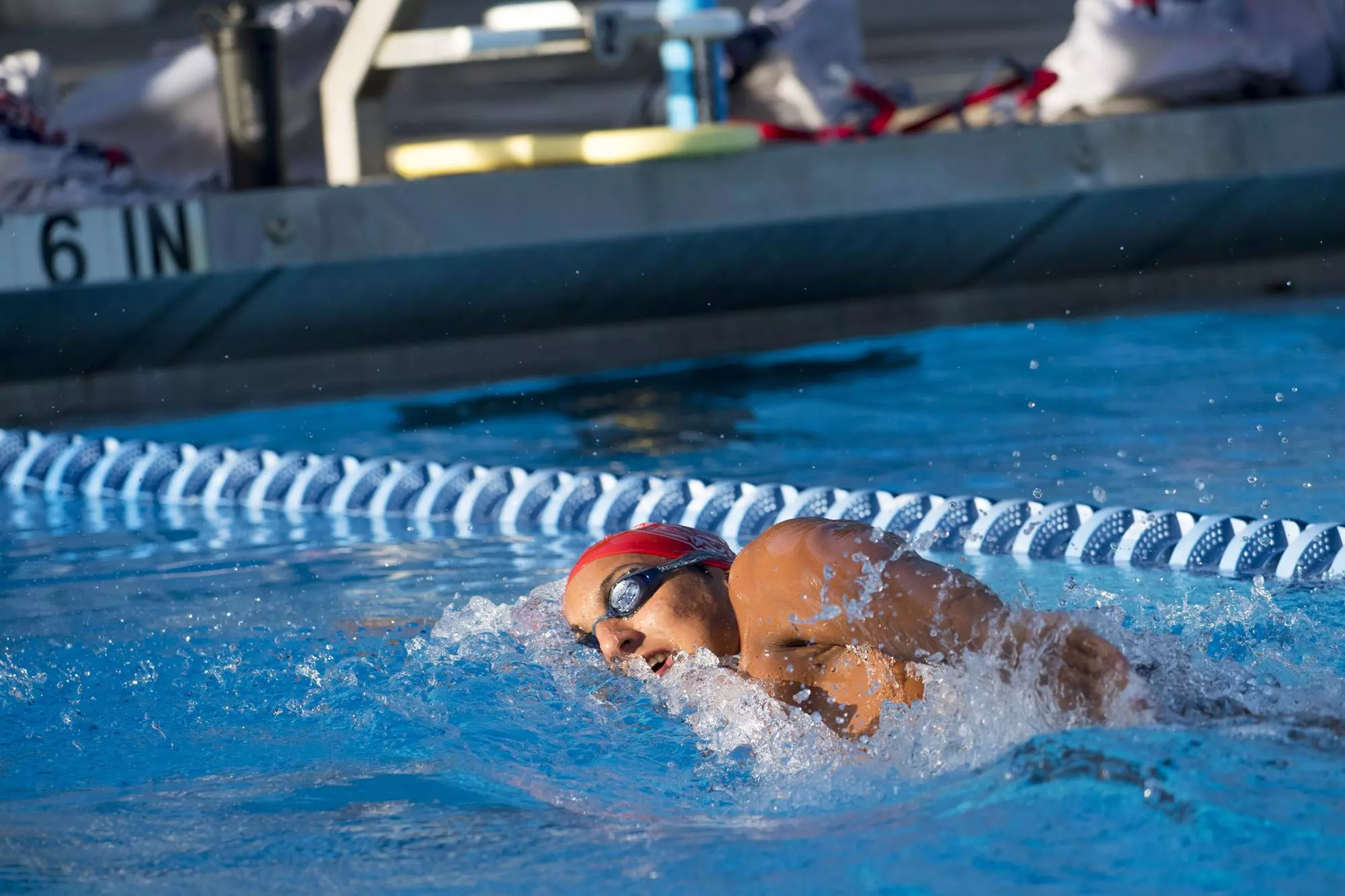 Fau Pool Swimming & Diving Finish Second at Patriot Invite; Hussein Breaks ...