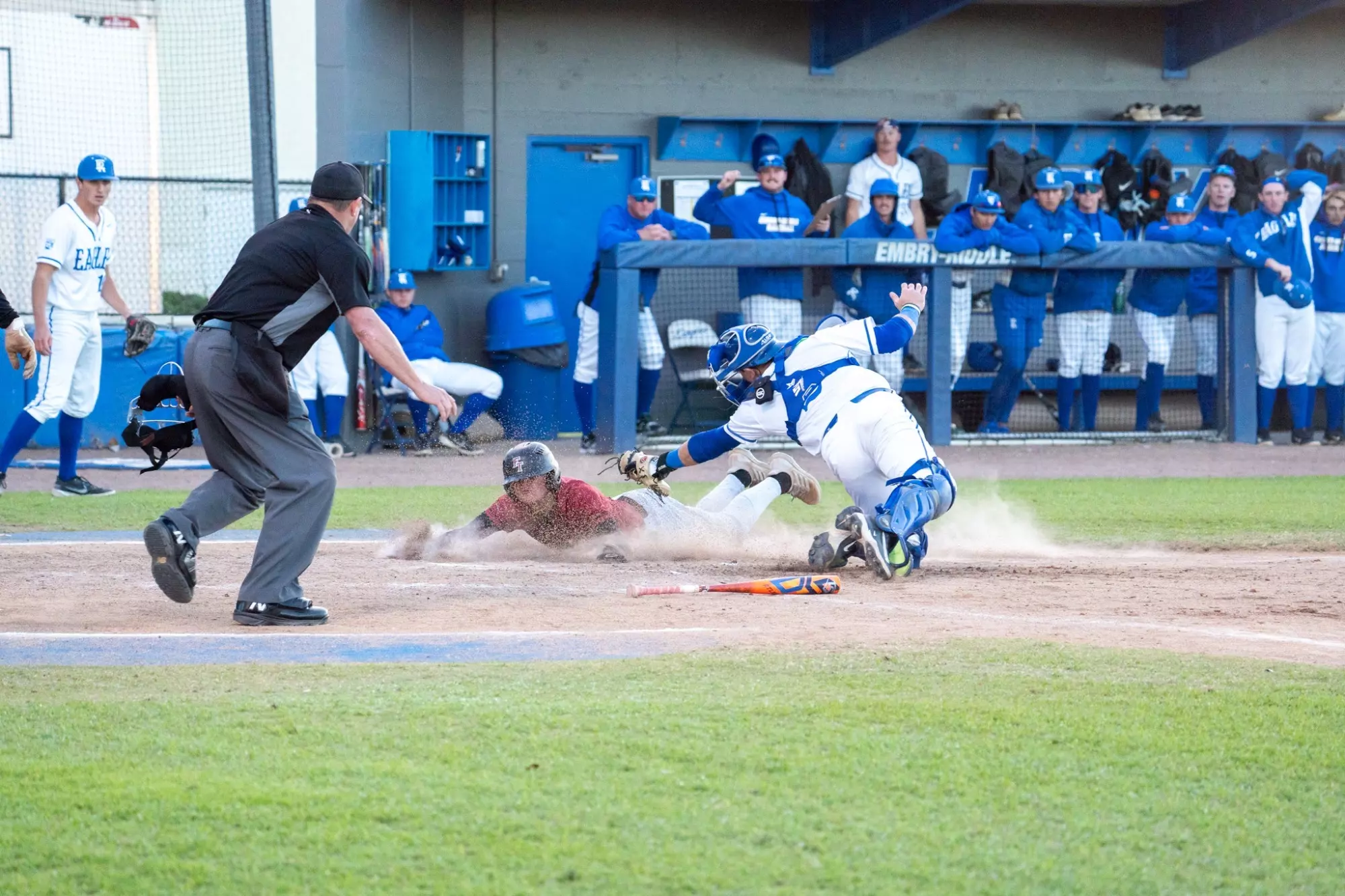 Embry Riddle Baseball Florida Panthers Rally Late to Defeat Embry-Riddle, 8-4 - Florida Tech Panthers