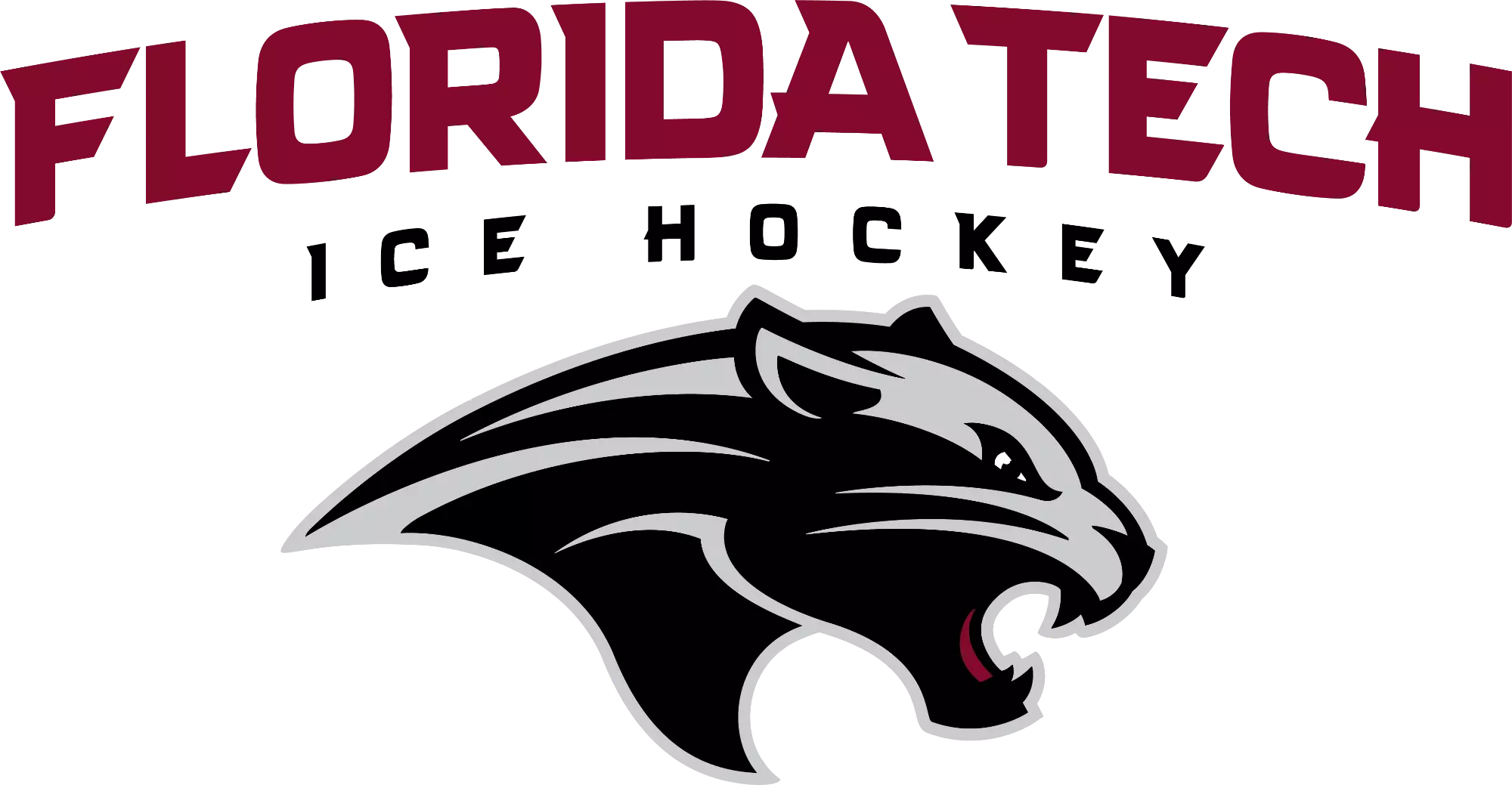 Florida Tech Ranking Ice Hockey Recruitment - Florida Tech Panthers