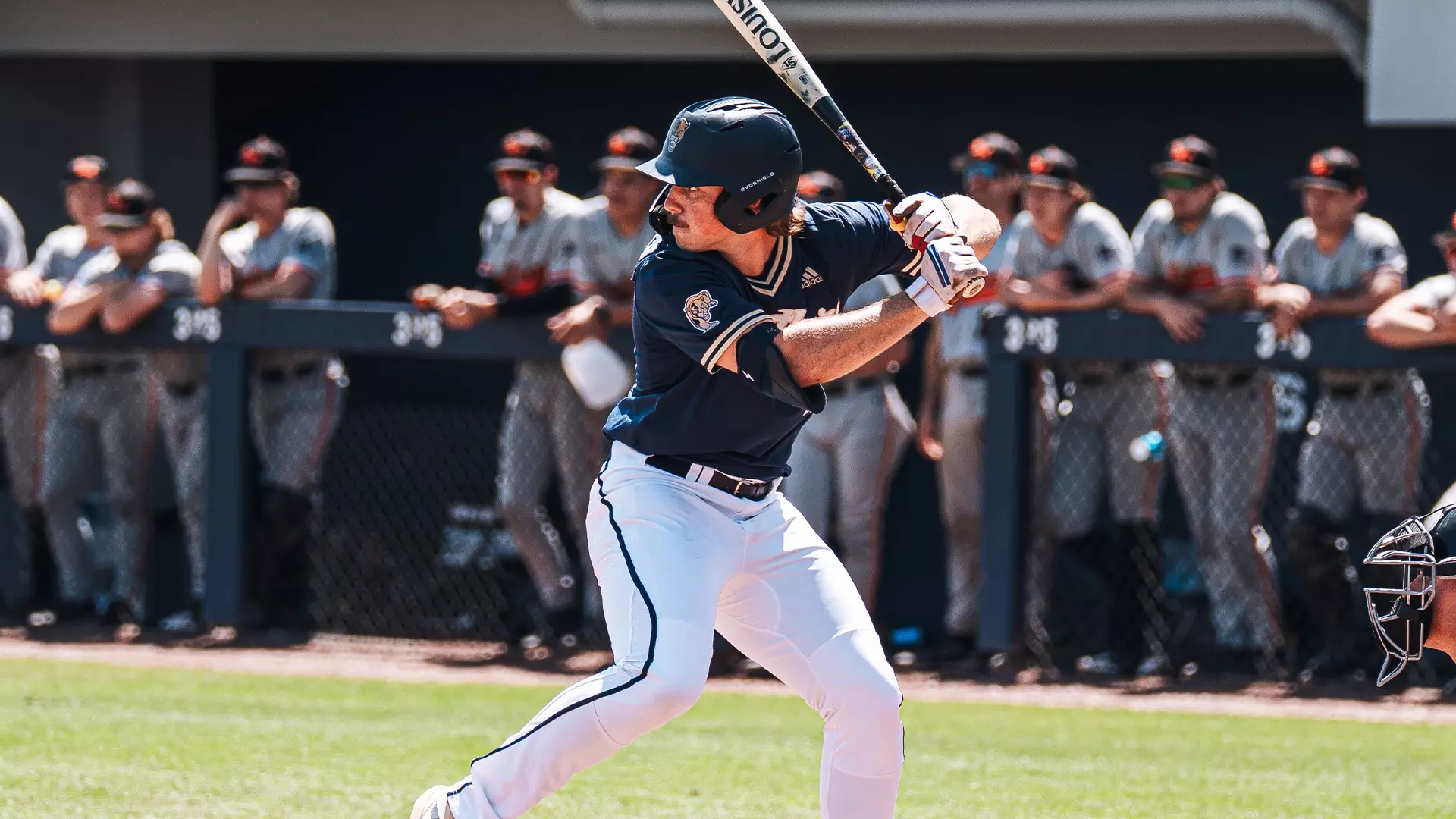 Neil Rasmussen Baseball Baseball Falls in Series Finale to Sam Houston Sunday Afternoon - FIU ...
