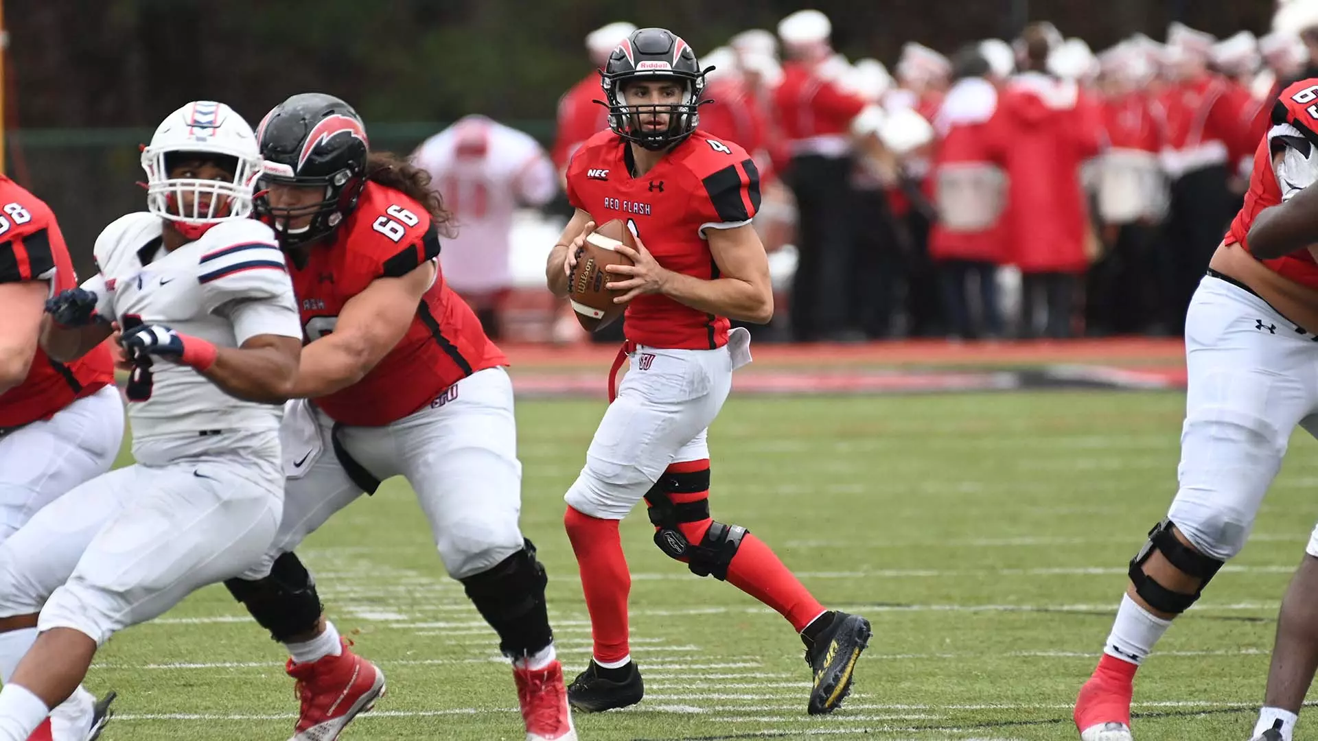 Alex Doyle Doyle Named NEC Offensive Player of the Week, Two Earn Prime Performer ...