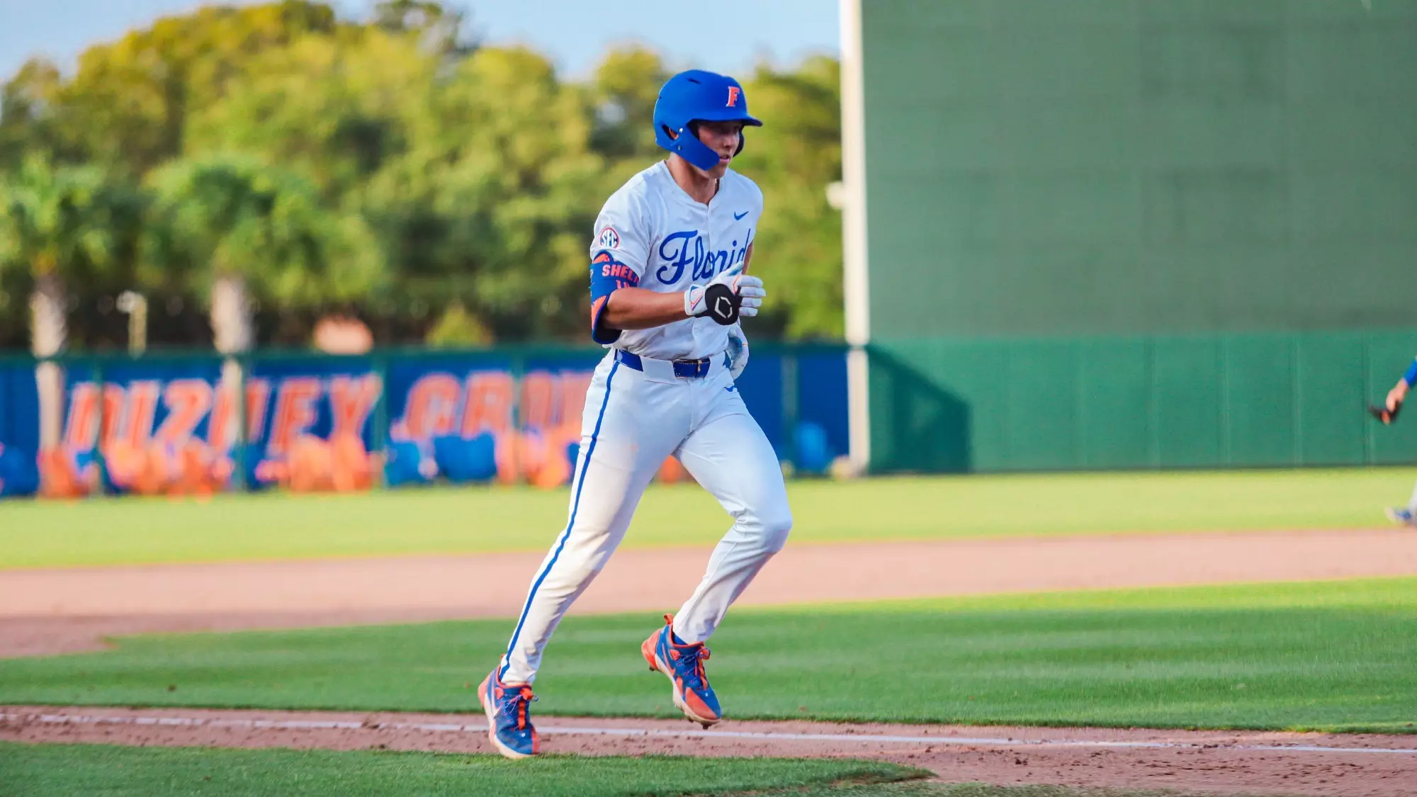 Colby Baseball Colby Shelton - Baseball - Florida Gators