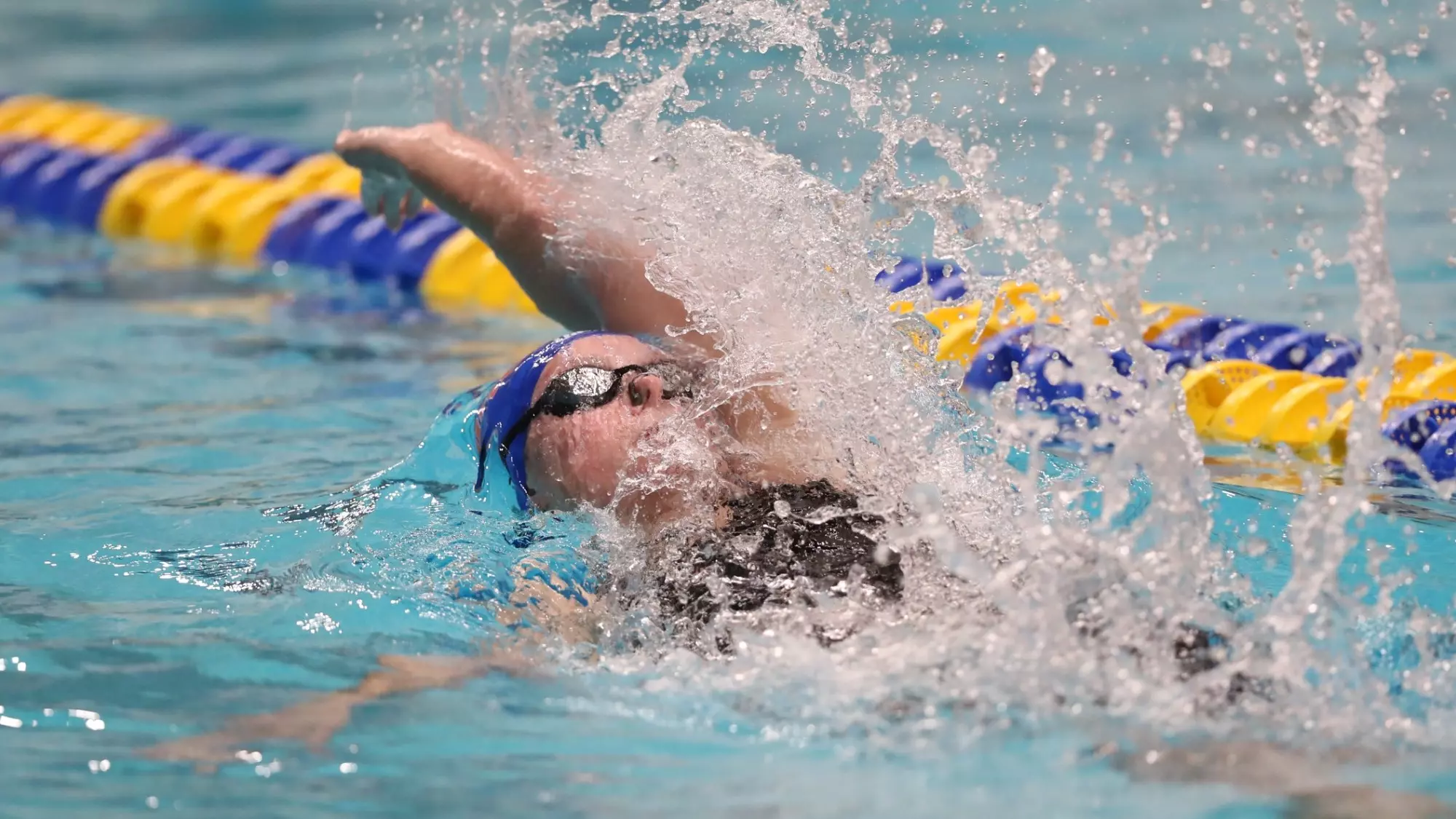 Carly Reed Swimmer Carly Meeting - Women's Swimming & Diving - Florida Gators