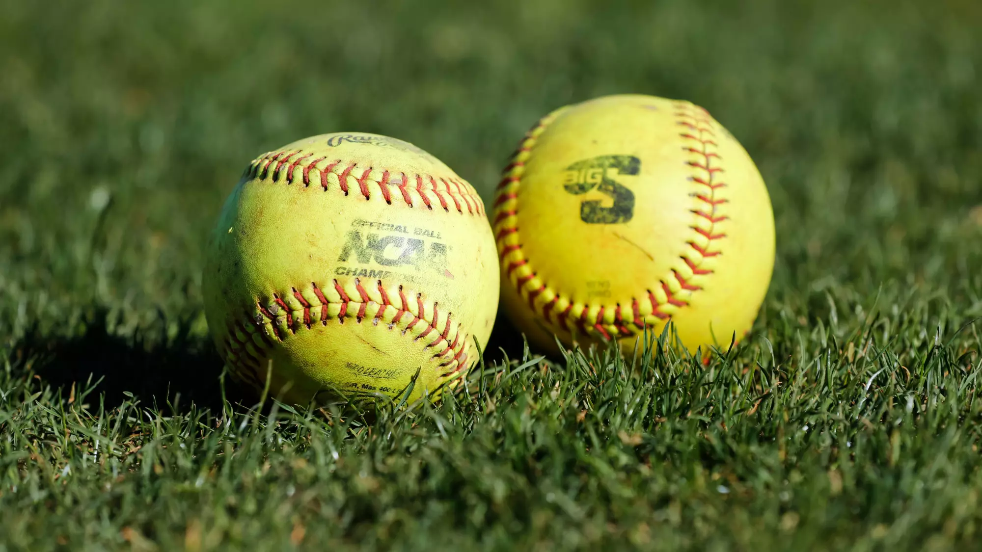 Generic Softball Softball Scribes Six to 2024 Signing Day Class - Presbyterian College