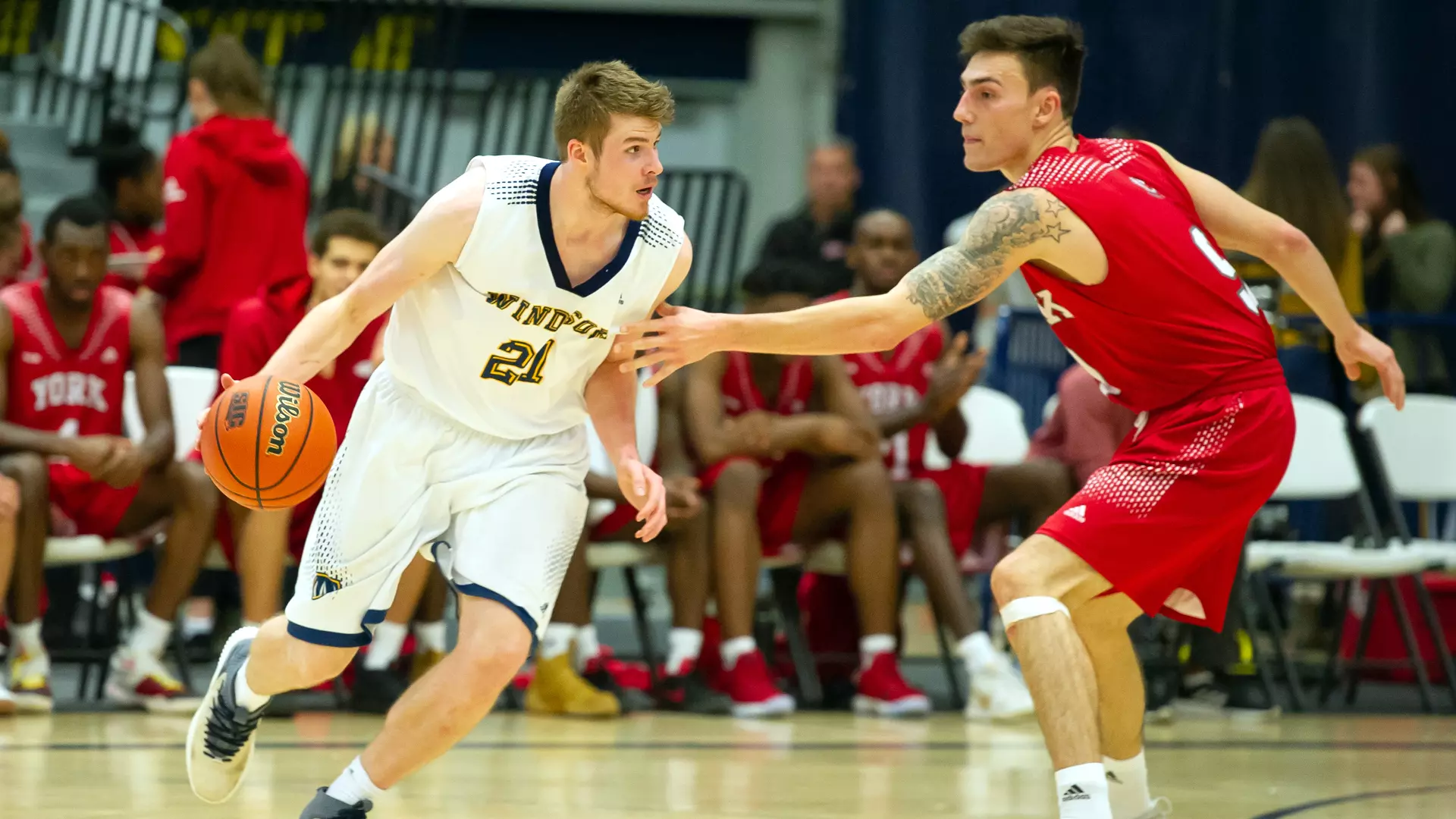 Ziphion Reevey Lukas Wood - Men's Basketball - Windsor Lancers