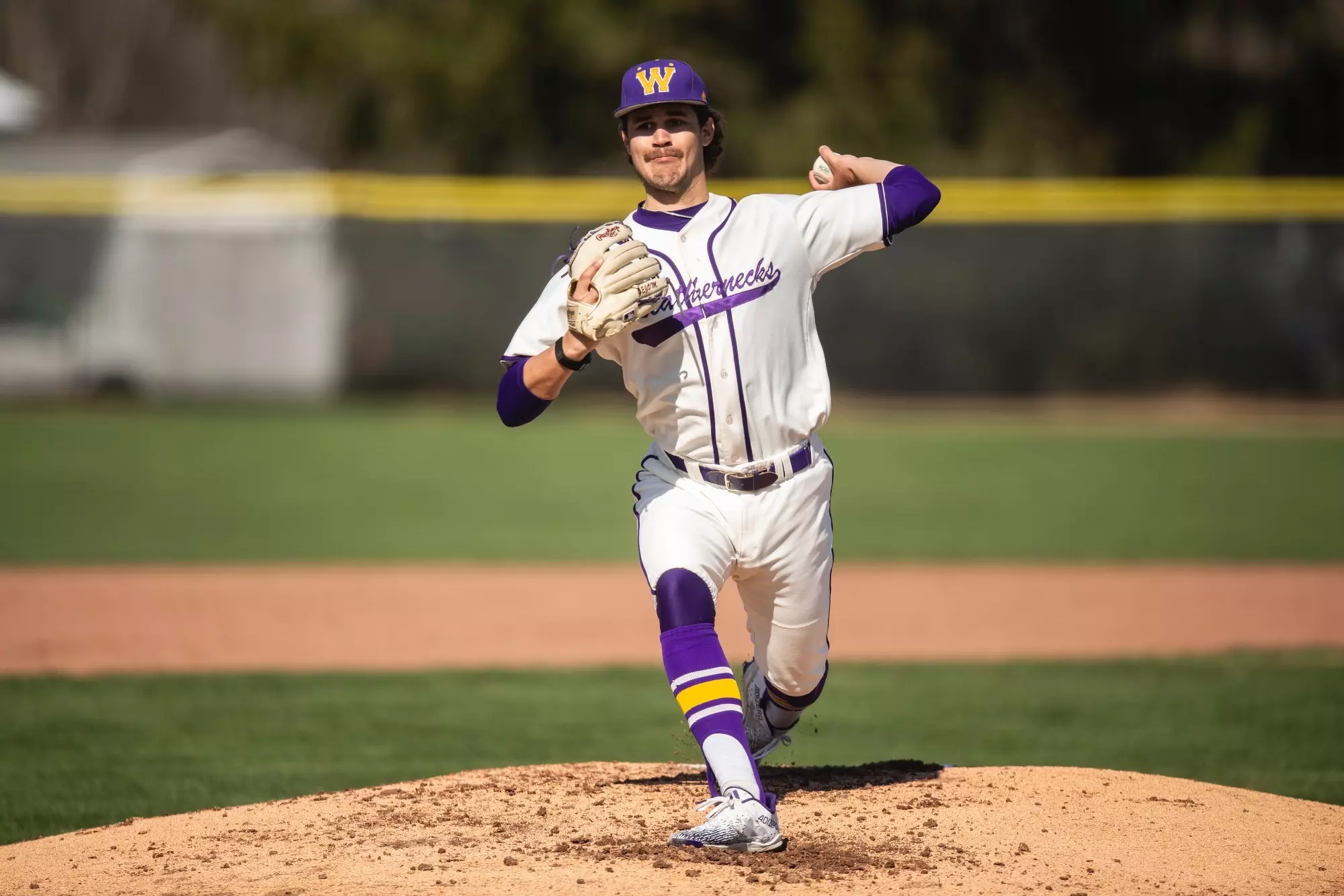 Jason Buhl - Baseball - Western Illinois University Athletics