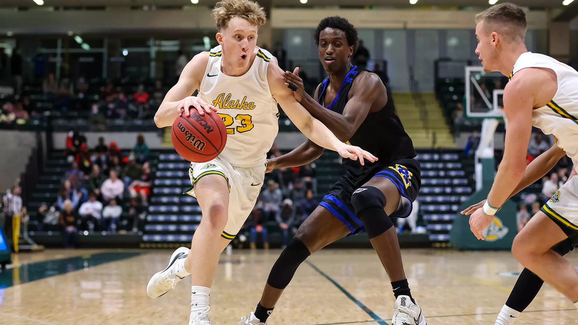 Luke Devine | 2024-25 | Men's Basketball | University of Alaska Anchorage