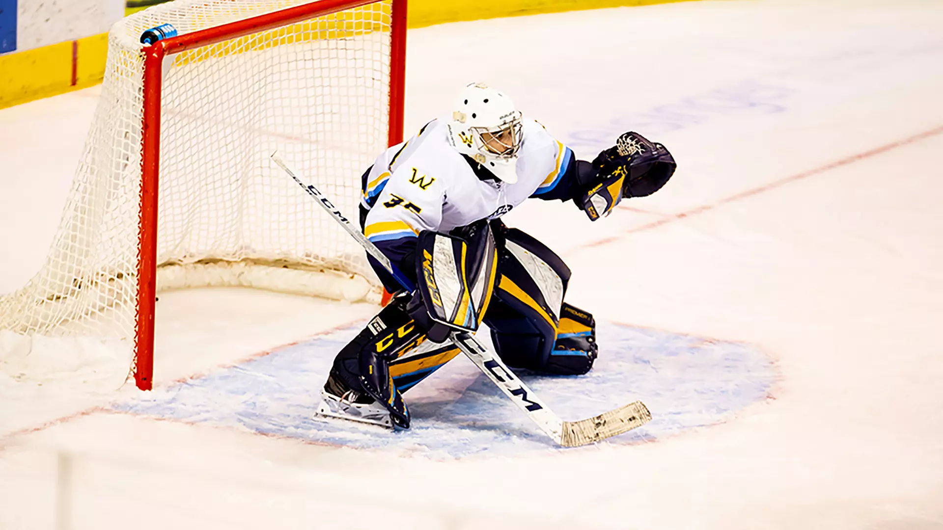 Dylan Marquart Brandon Gordon - 2019-2020 - Men's Ice Hockey - Wilkes University Athletics