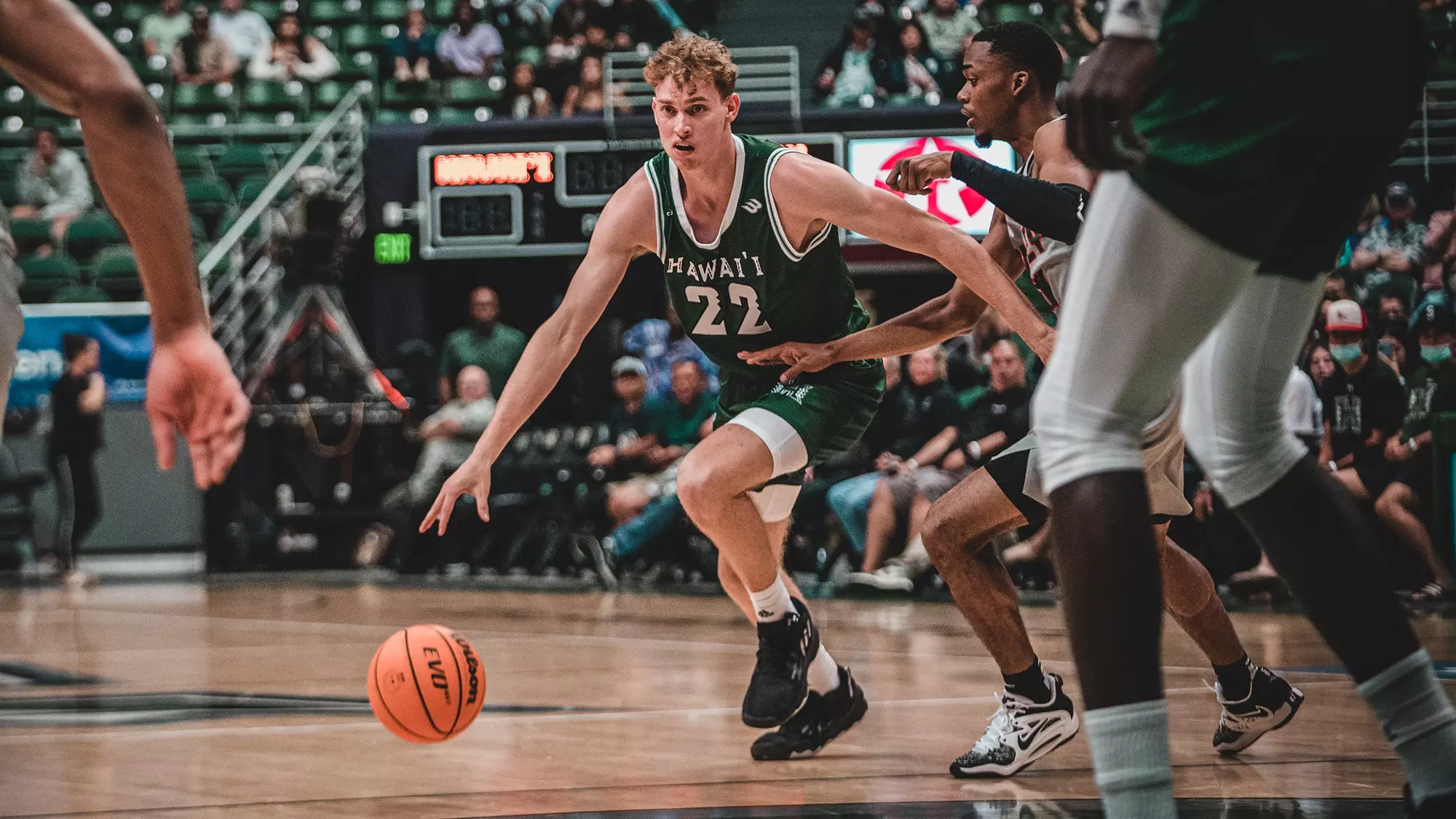 Ryan Rapp - Men's Basketball - University of Hawai'i at Manoa Athletics