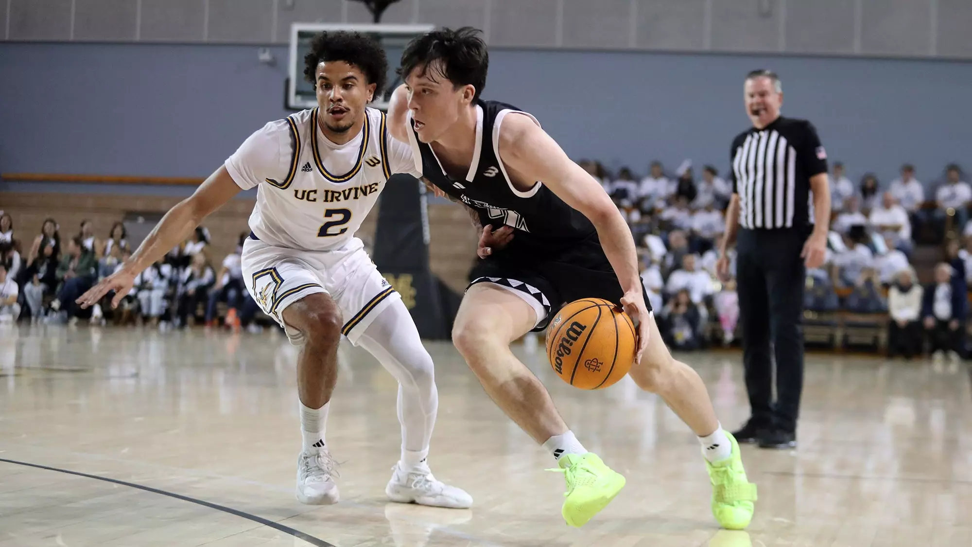 Jerome Rapp Tom Beattie - Men's Basketball - University of Hawai'i at Manoa Athletics