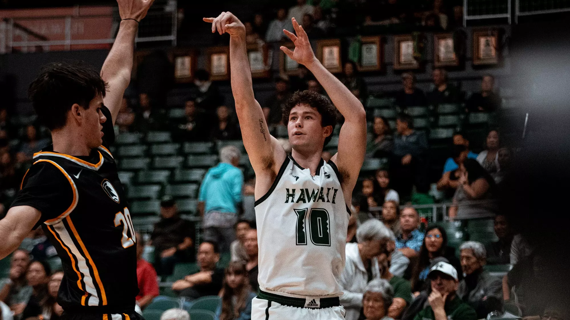 Jerome Rapp Logan Robeson - Men's Basketball - University of Hawai'i at Manoa Athletics