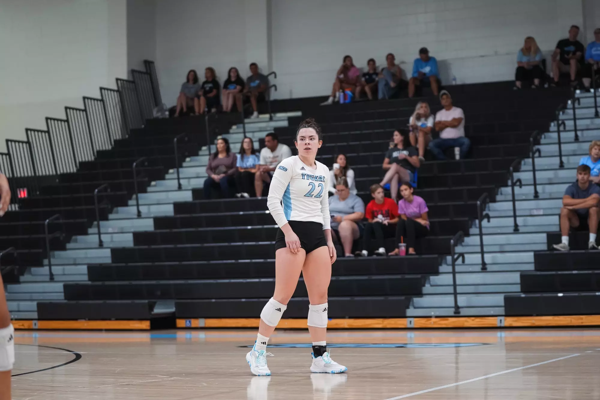 Keira Rogan Keira Rogan - Women's Volleyball - Holy Family University Athletics