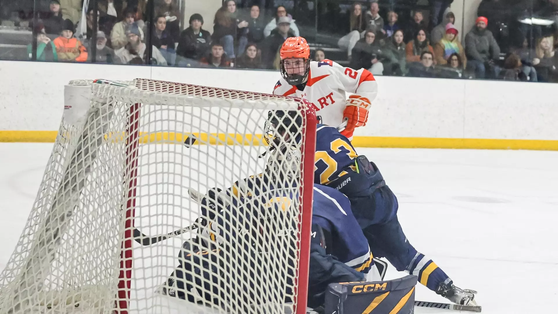 Shane Rohan Shell Shane Shell - 2024-25 - Hobart Ice Hockey - Hobart and William Smith ...