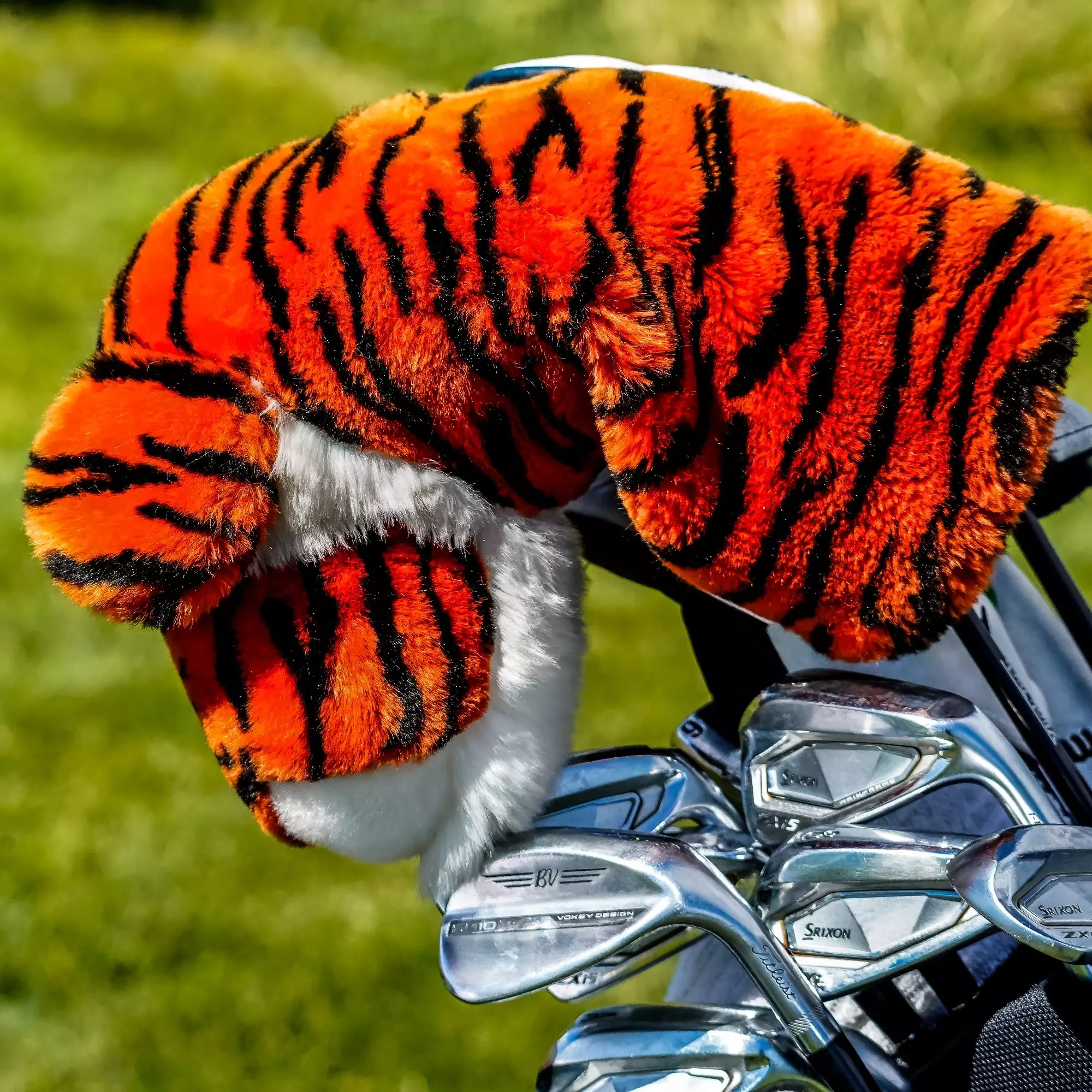 Program State Founder Names Bengals Card Fourth-Best 54-Hole Total in Program History to Close Fall ...