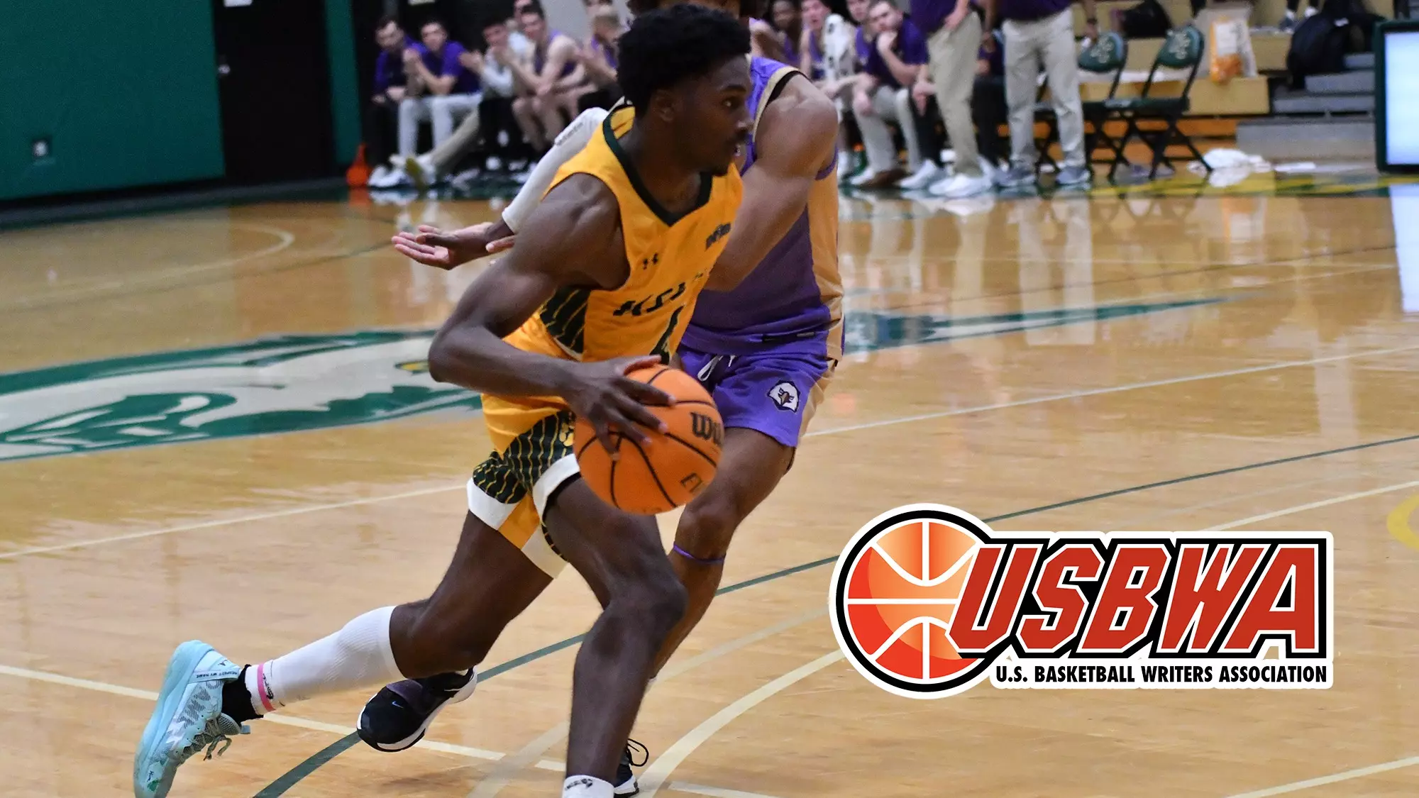 Usbwa Milton Named to USBWA Rochester Area First Team - Keuka College