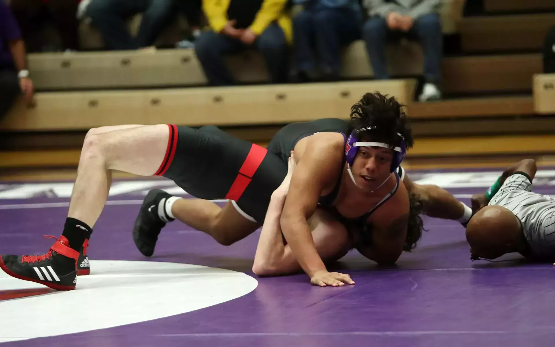 Alex Linfield Alex Tapia - Men's Wrestling - Linfield University Athletics