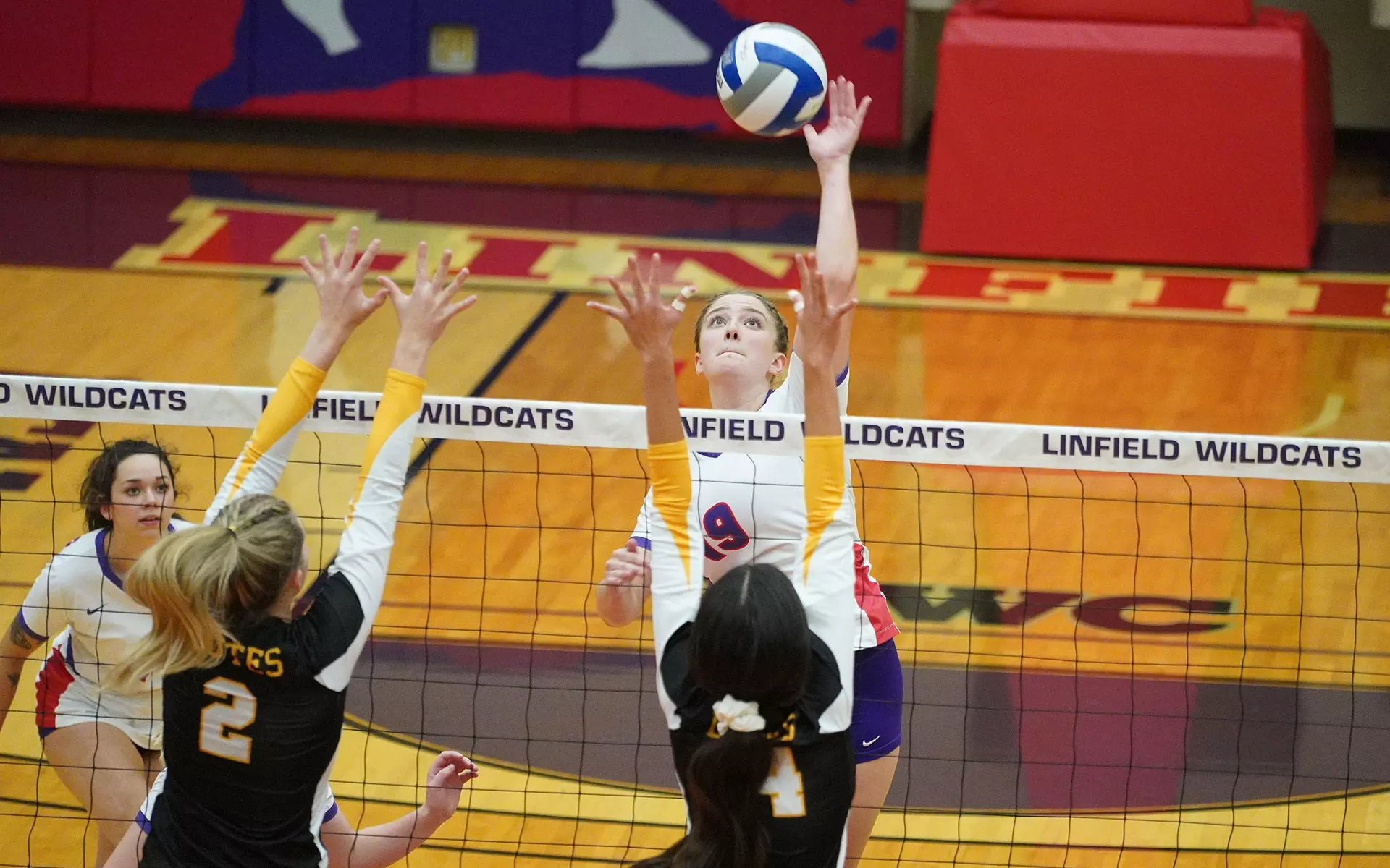 Nwc Set Wildcats grab set No. 2 in loss to Loggers - Linfield University Athletics