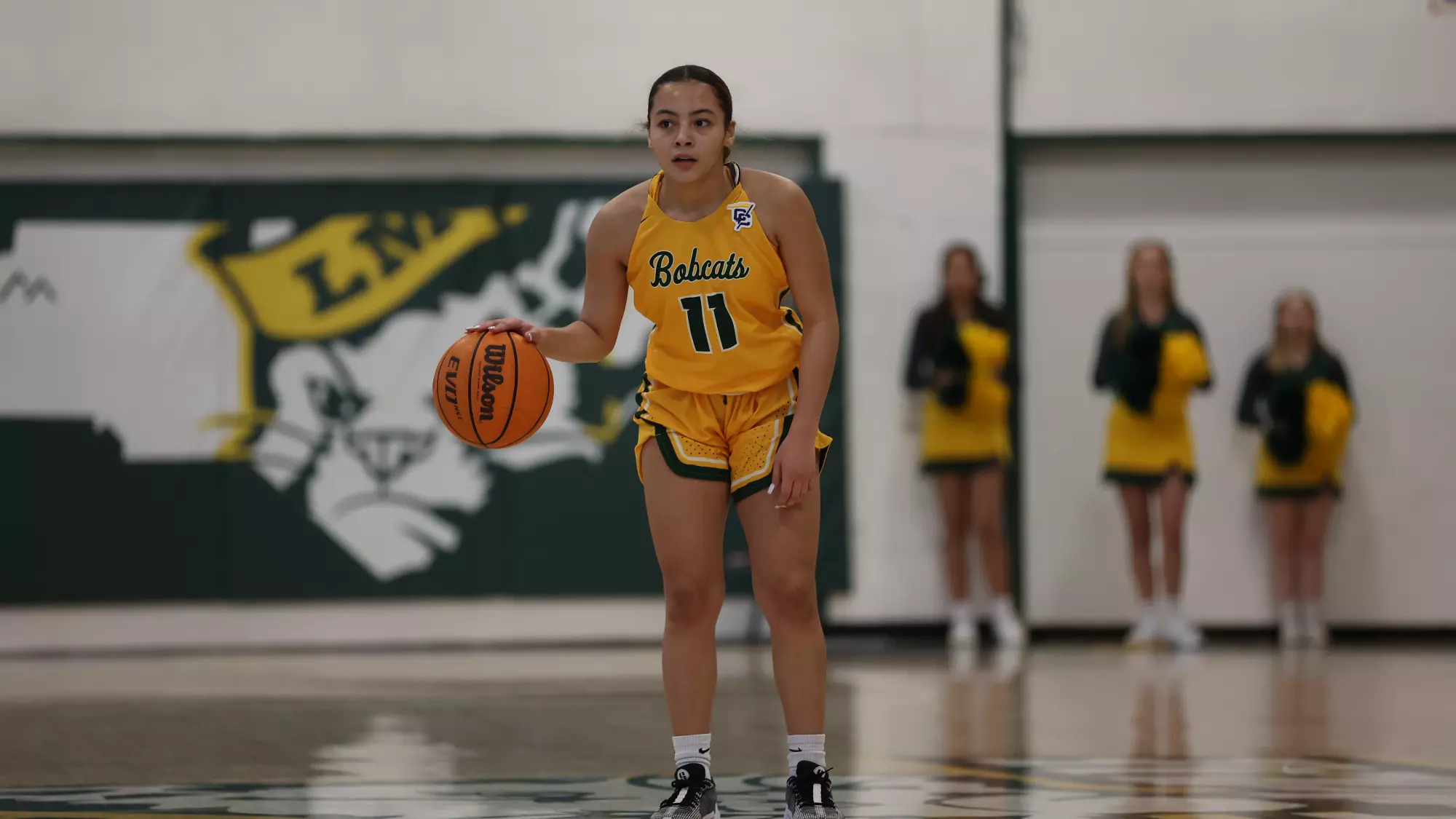 Aleysha Roper Aleysha Hill - 2024-25 - Women's Basketball - Lees-McRae College