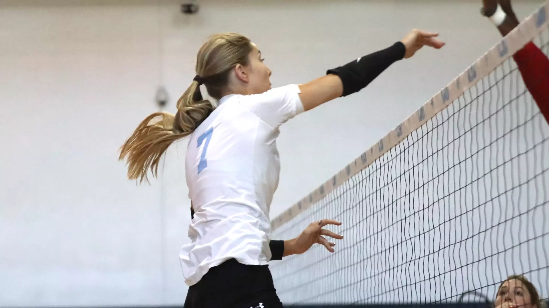 Rumur Rouille Long Island University Athletics