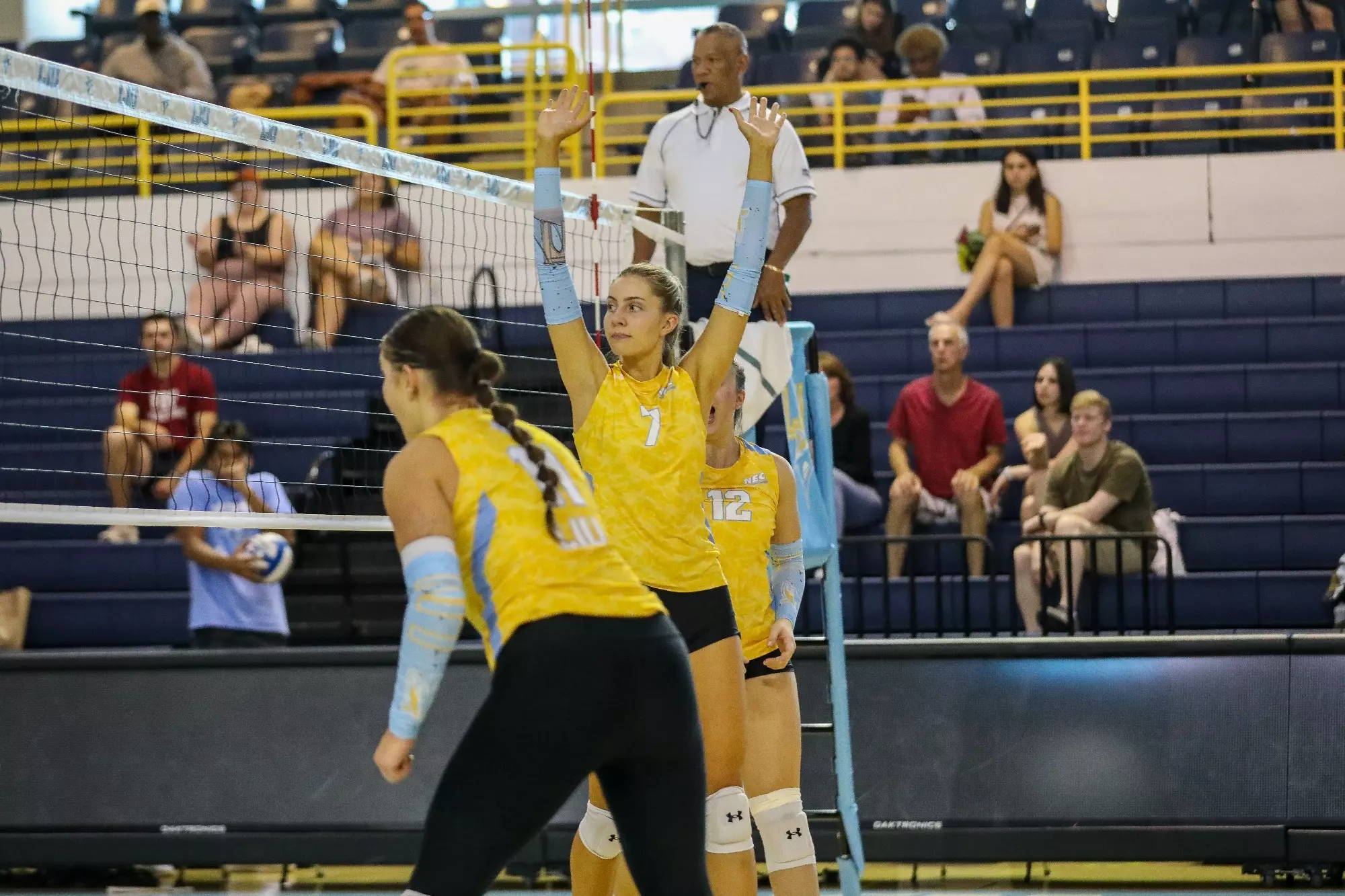 Rumur Rouille Long Island University Athletics