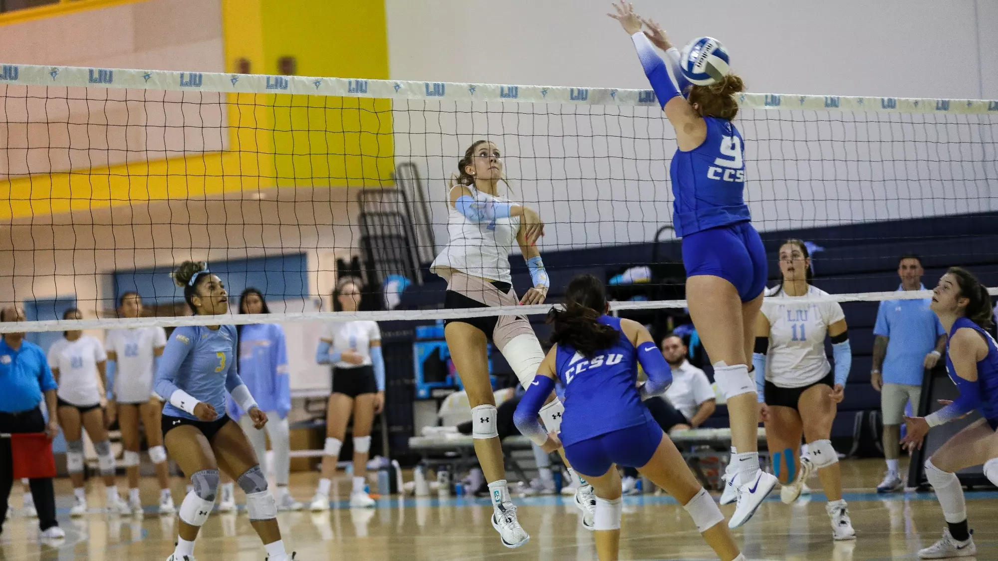 Rumur Rouille Long Island University Athletics