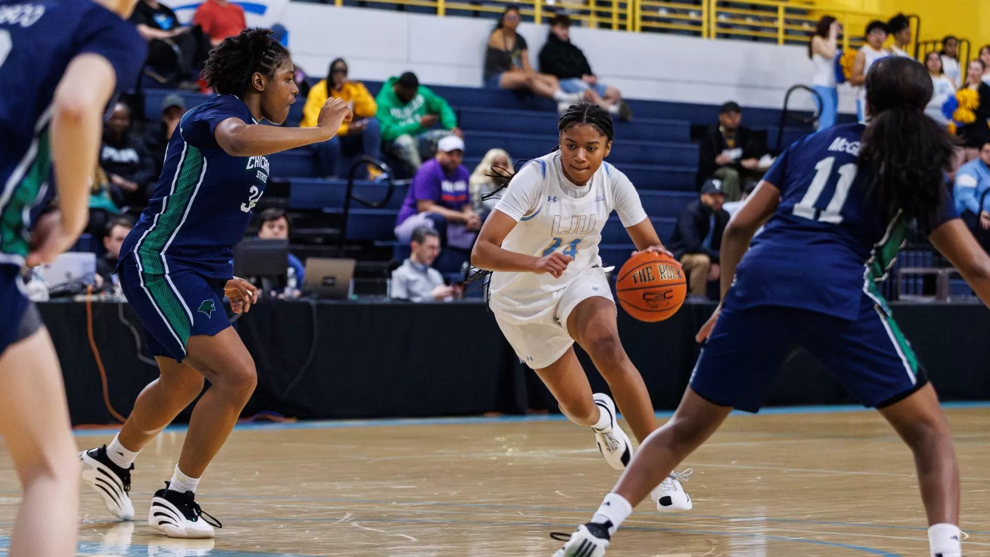 Long Island University Athletics