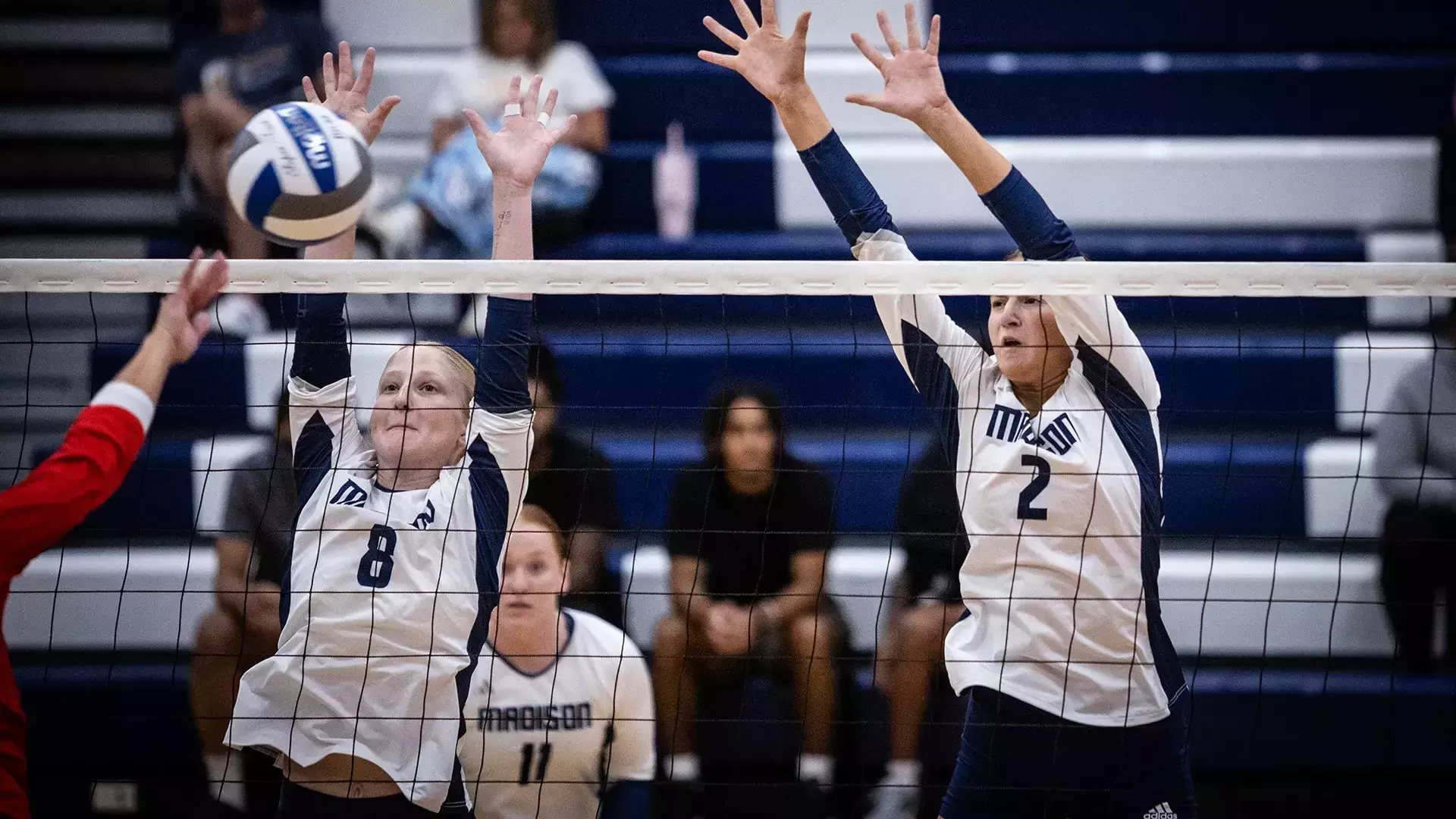 Rowan Madison Rowan Harder - 2025 - Women's Volleyball - Madison College Athletics