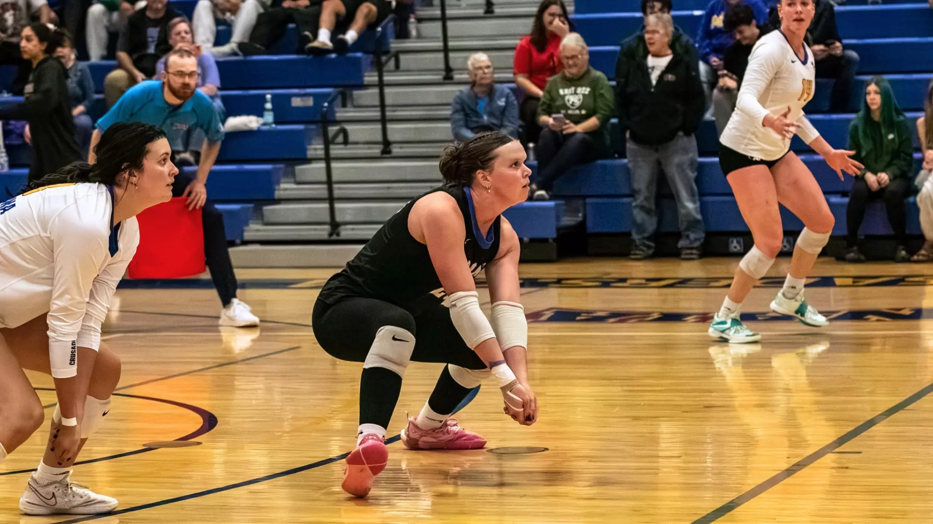 Defiance Org Madonna Falls to Defiance - Madonna University Athletics