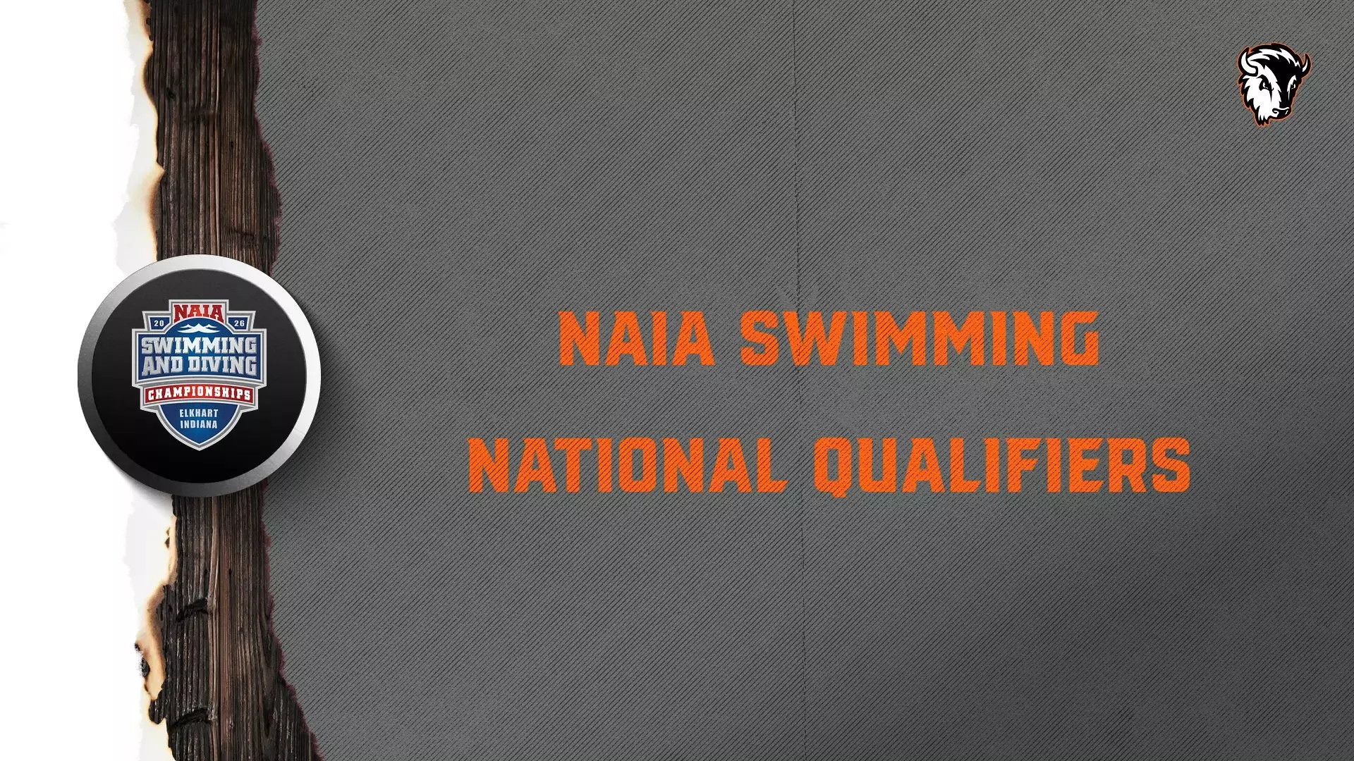 Buffs Swimming Programs Combine to Send 24 StudentAthletes to NAIA