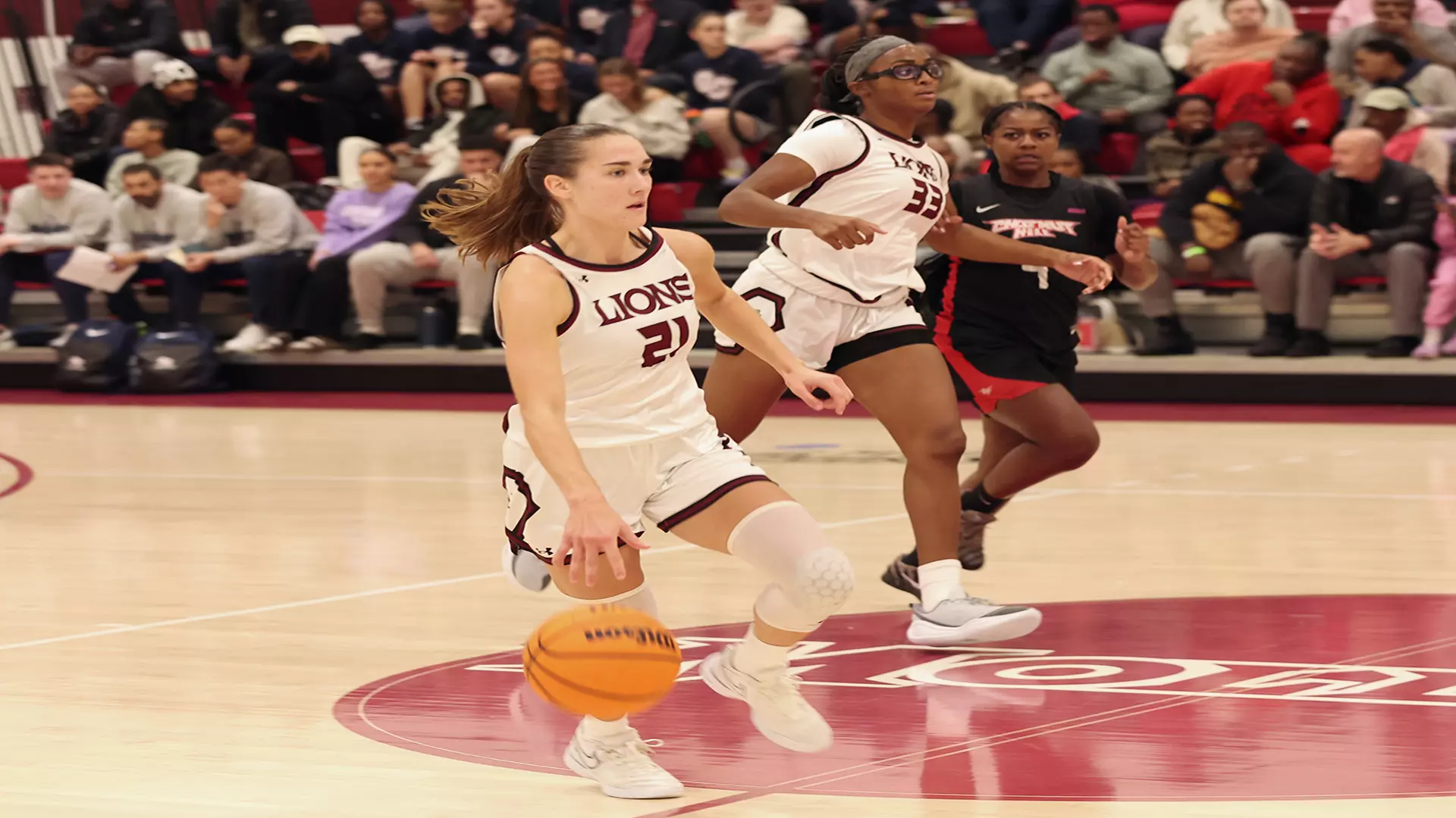 Julie Rizzitell Rosa Rizzitelli - Women's Basketball - Molloy University Athletics