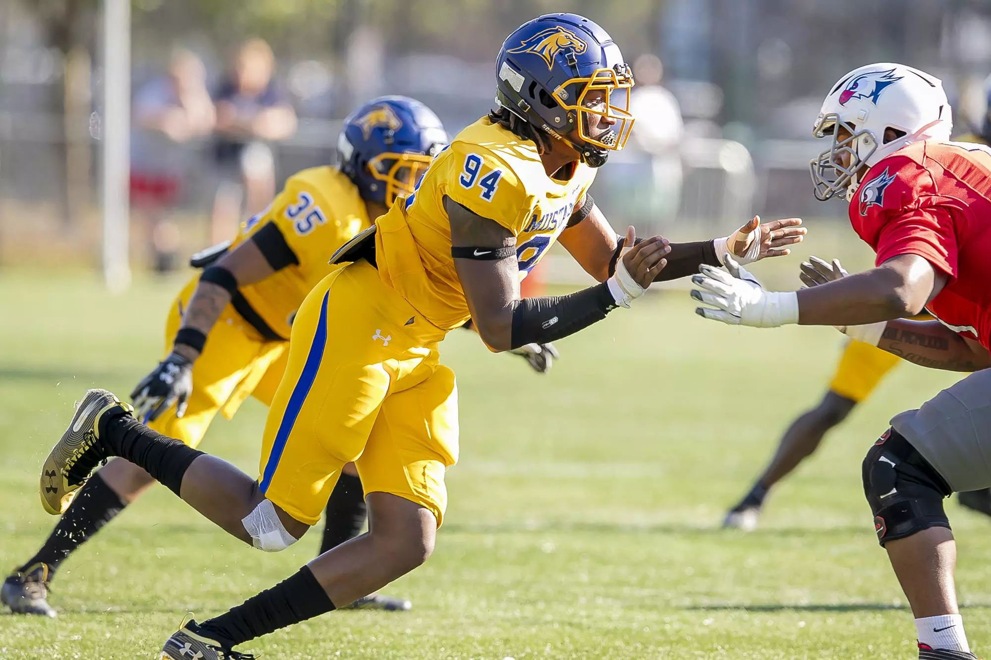 Rashawn Riley Nnaemeka Ike - Football - Monroe University Athletics