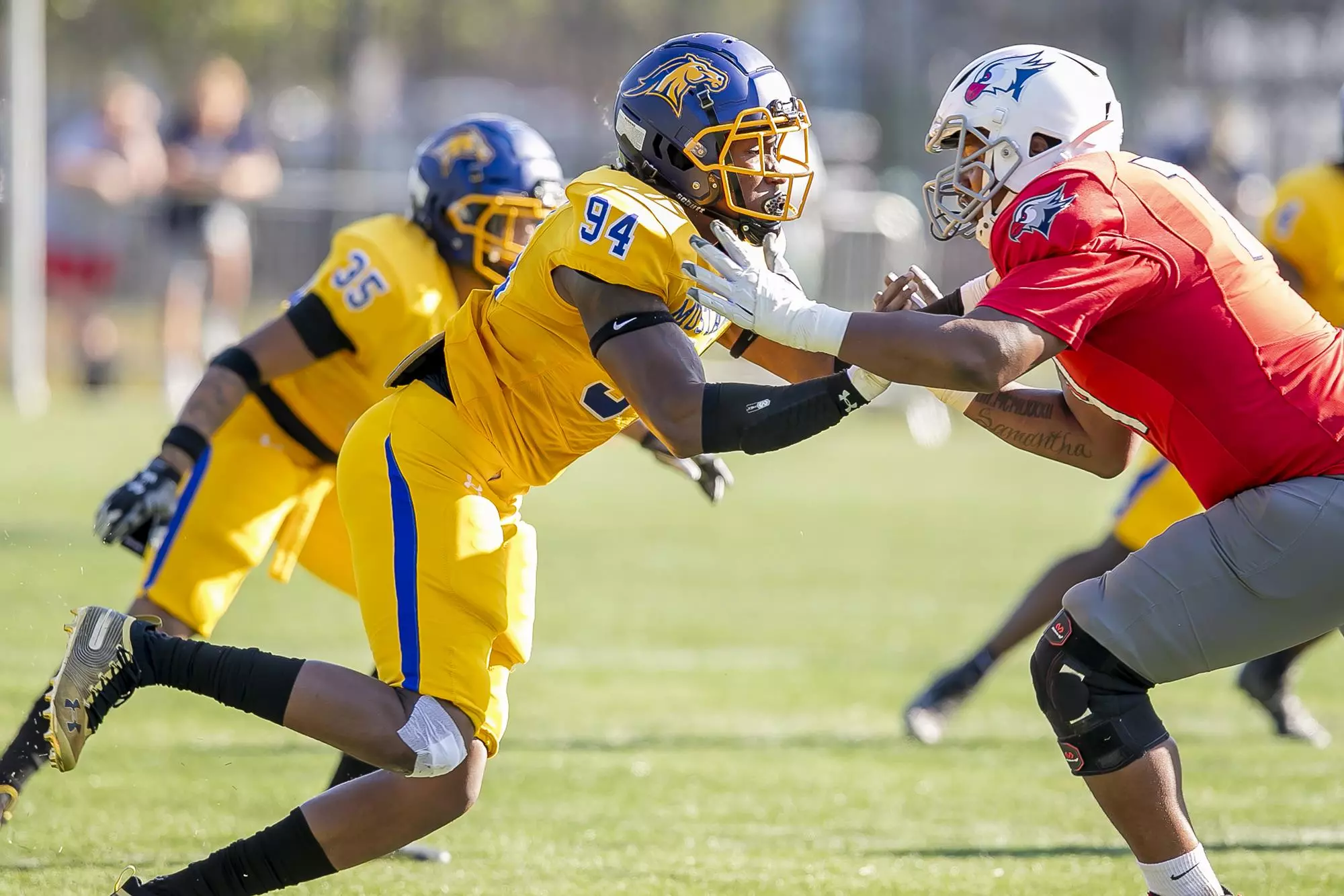 Rashawn Riley Nnaemeka Ike - Football - Monroe University Athletics