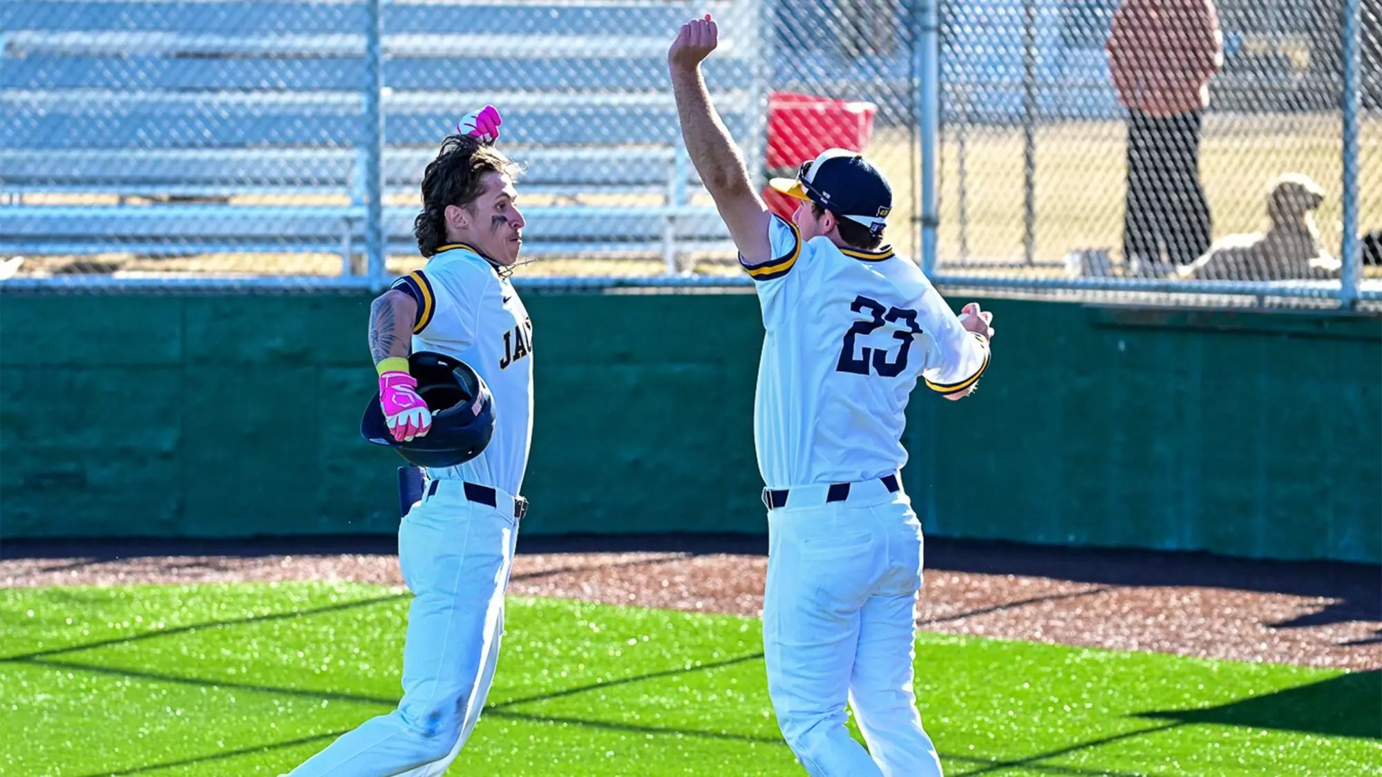 Hot Bats and Dominance on the Mound Powers MSUB to Doubleheader Sweep ...