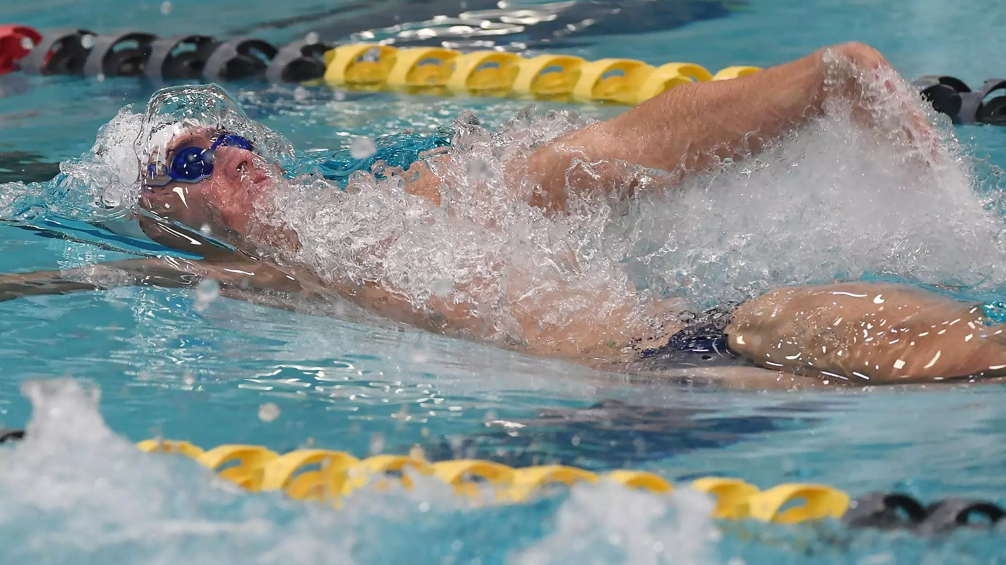 Jake Fadel Dominick Wallace - Men's Swimming & Diving - Naval Academy Athletics