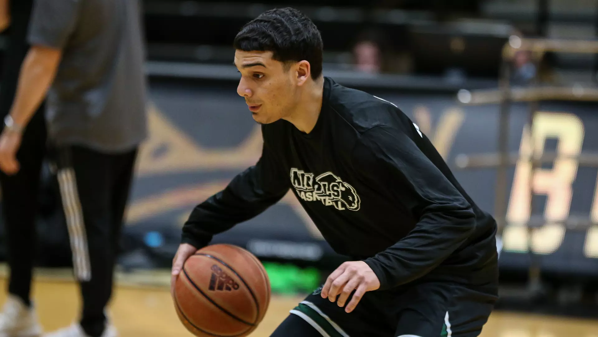 Valera Alexander Alexander Valera - Men's Basketball - Nichols College Athletics