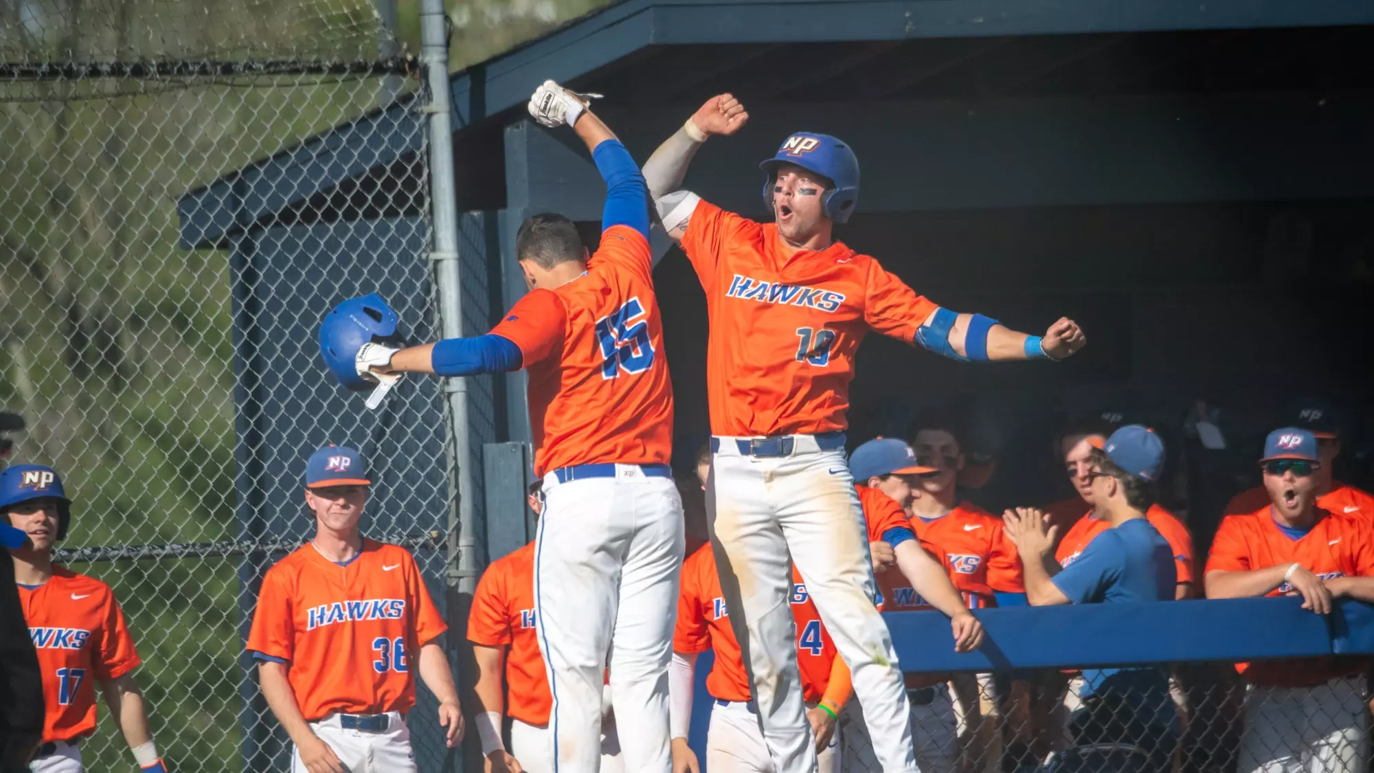 Dillon Ristano Baseball Dillon Ristano - Baseball - SUNY New Paltz Athletics