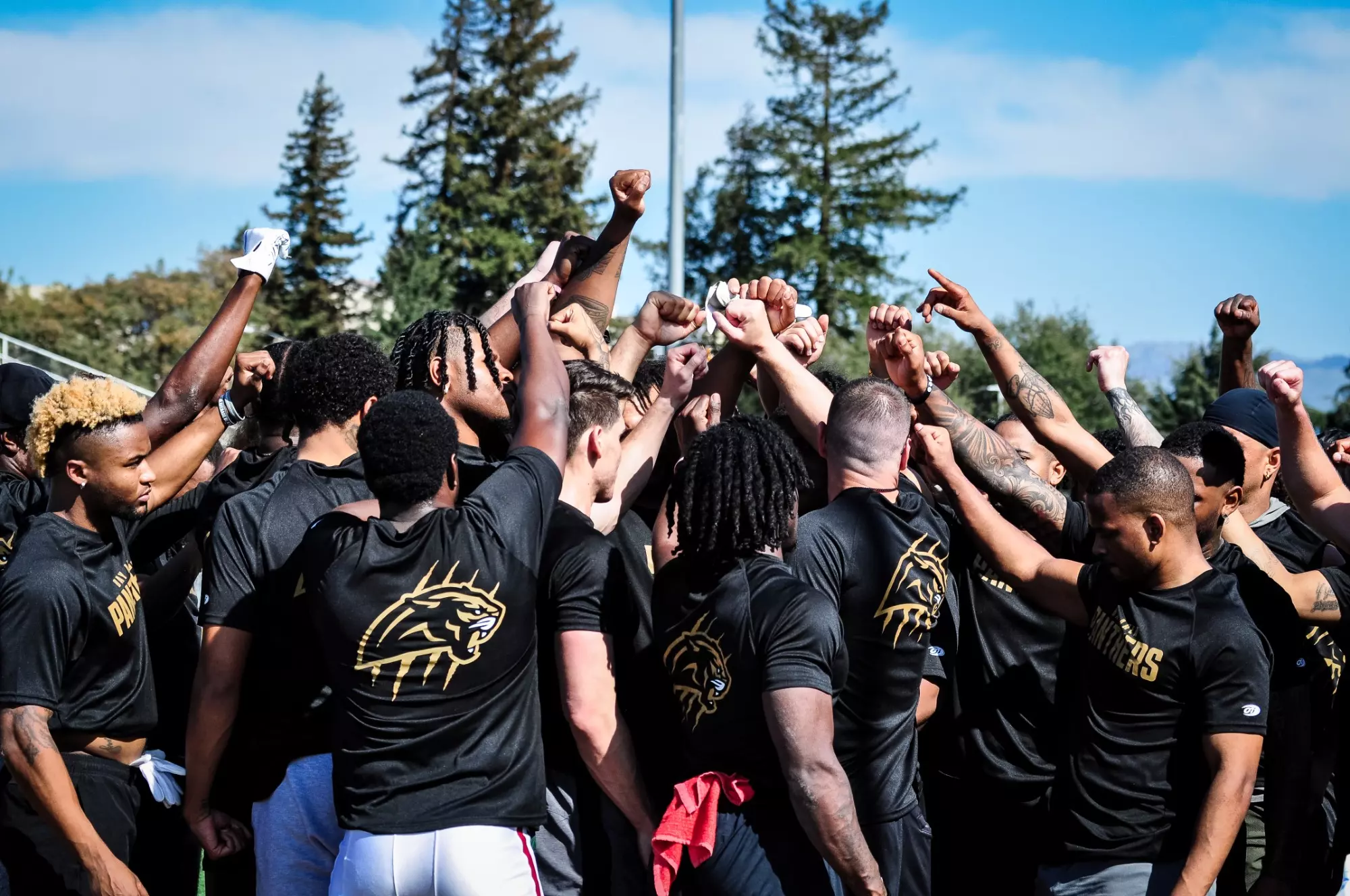 Bay Area Panthers Bring Fans, Athletes, and Local Businesses Together ...