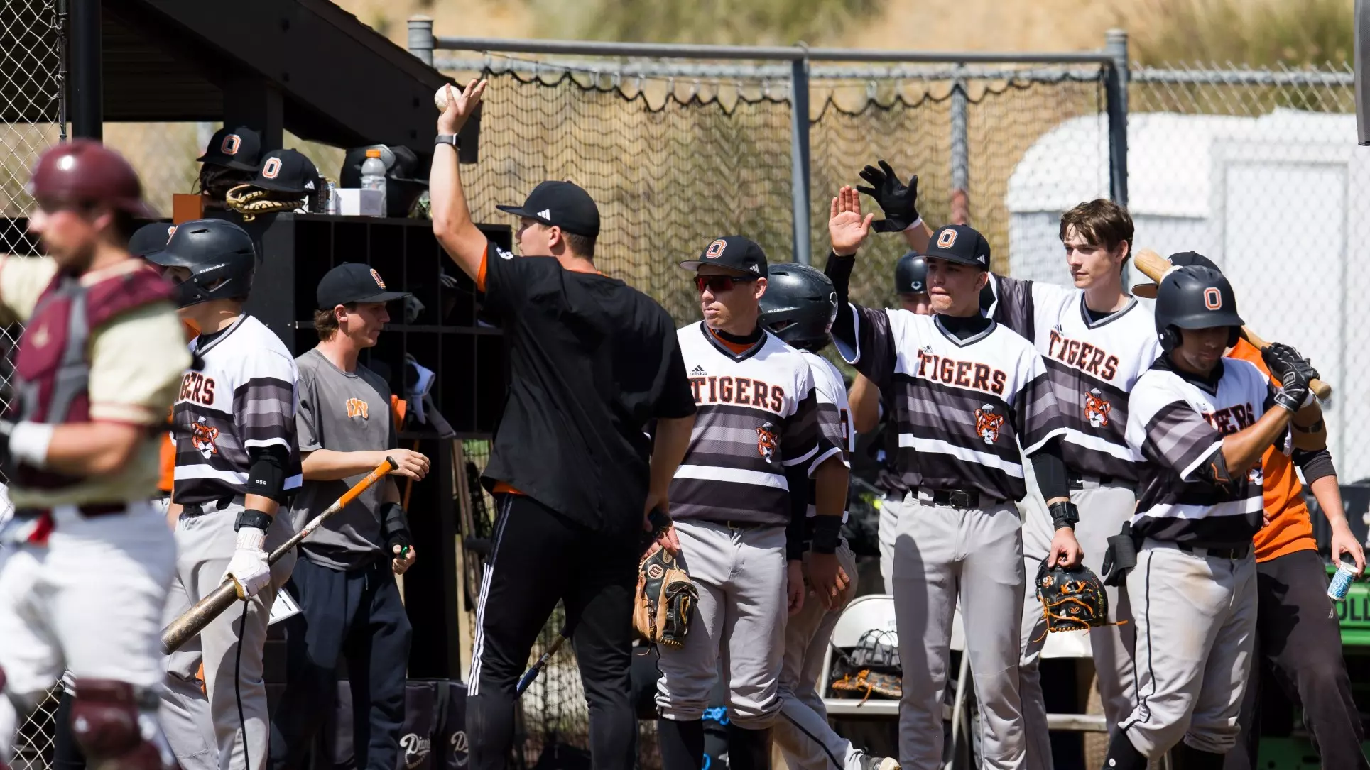 Daniel Rutkin Ben Rutkin - 2026 - Baseball - Occidental College