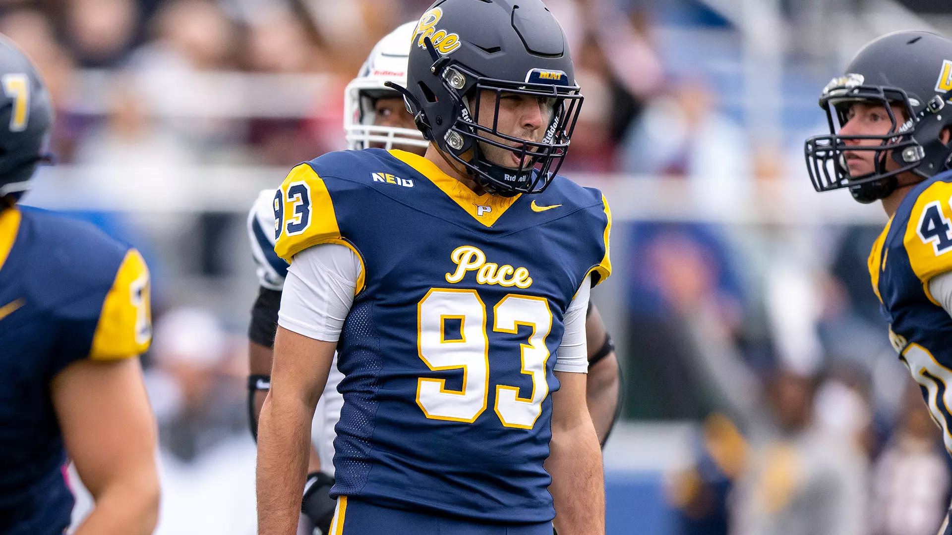 Dylan Squillacioti - 2024 - Football - Pace University Athletics