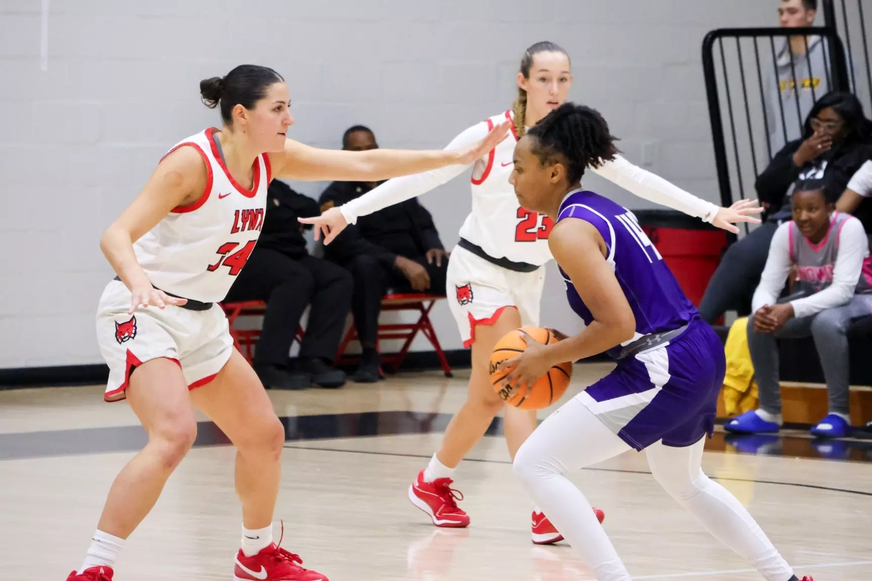 Women's Basketball Goes 1-1 in New York - Rhodes College Athletics