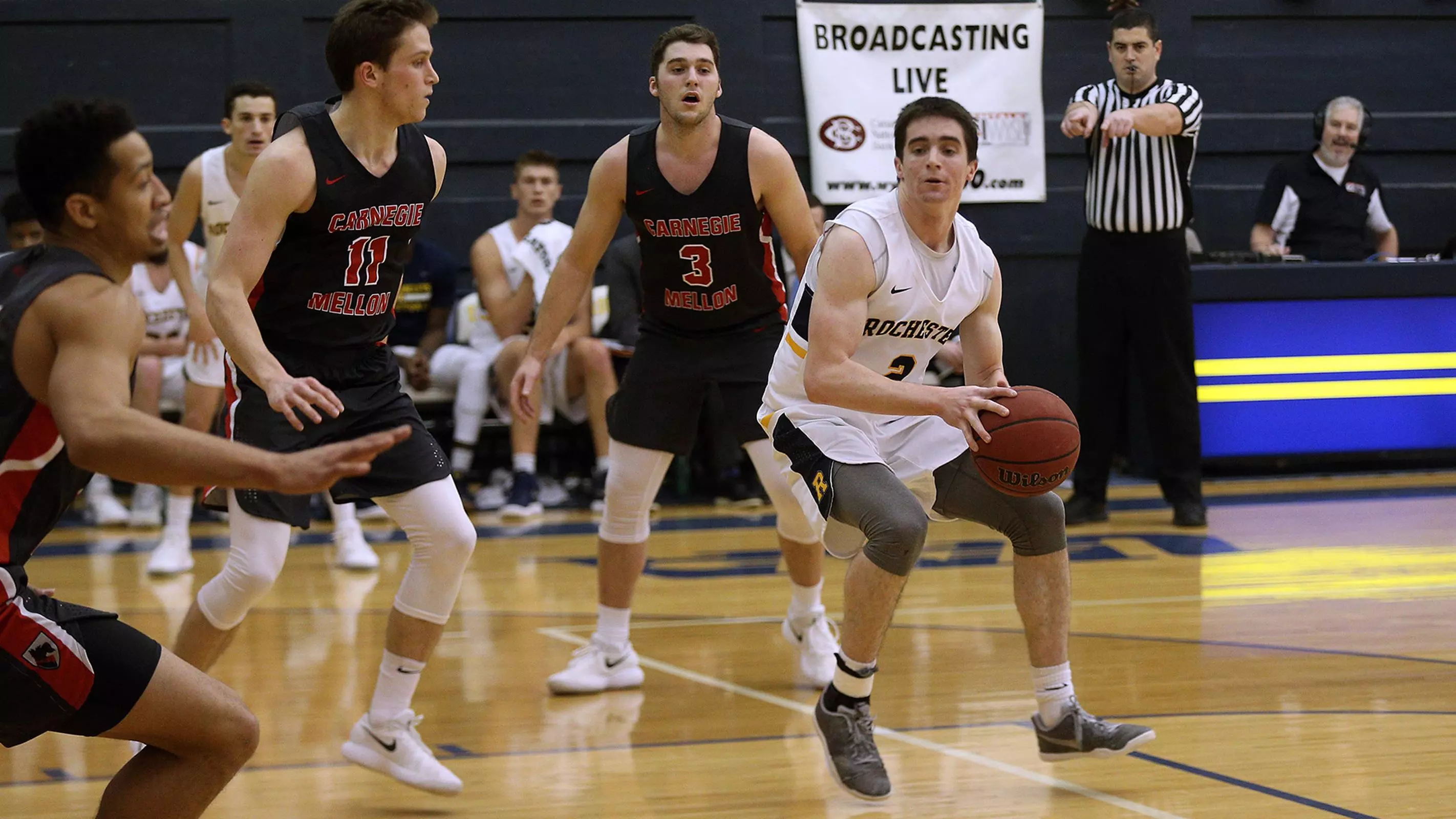 Um Rochester Raptors Michael Mangan - Men's Basketball - University of Rochester Athletics